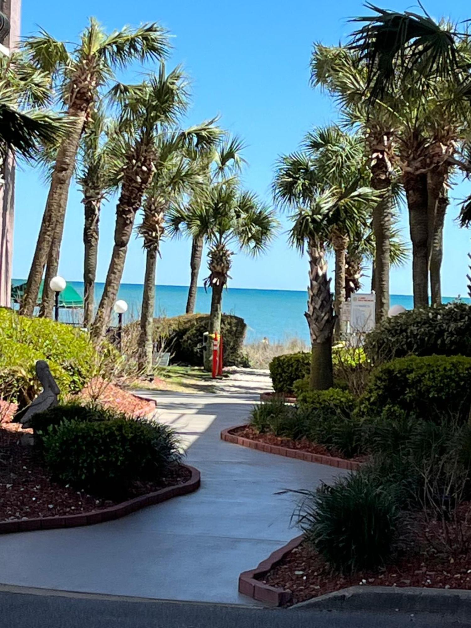 Apartment Sea View