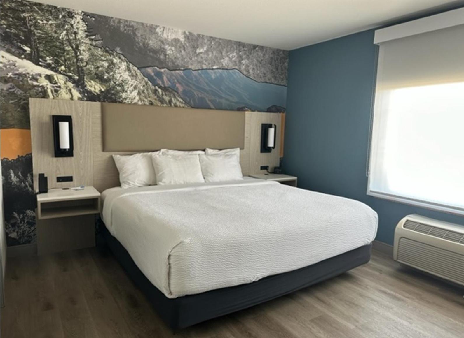 1 King Bed 1 Sleeper Sofa One-Bedroom Suite Non-Smoking