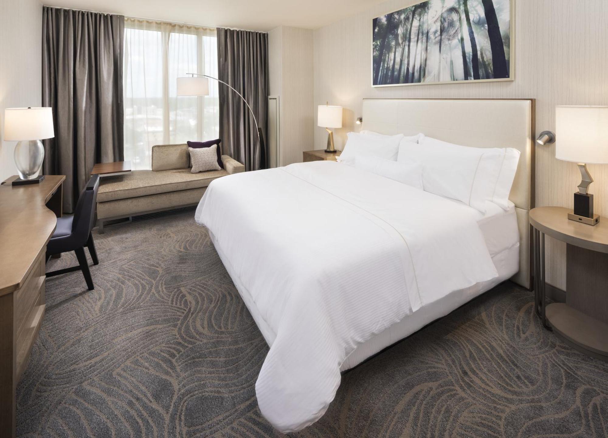 Junior Suite 1 King Bed