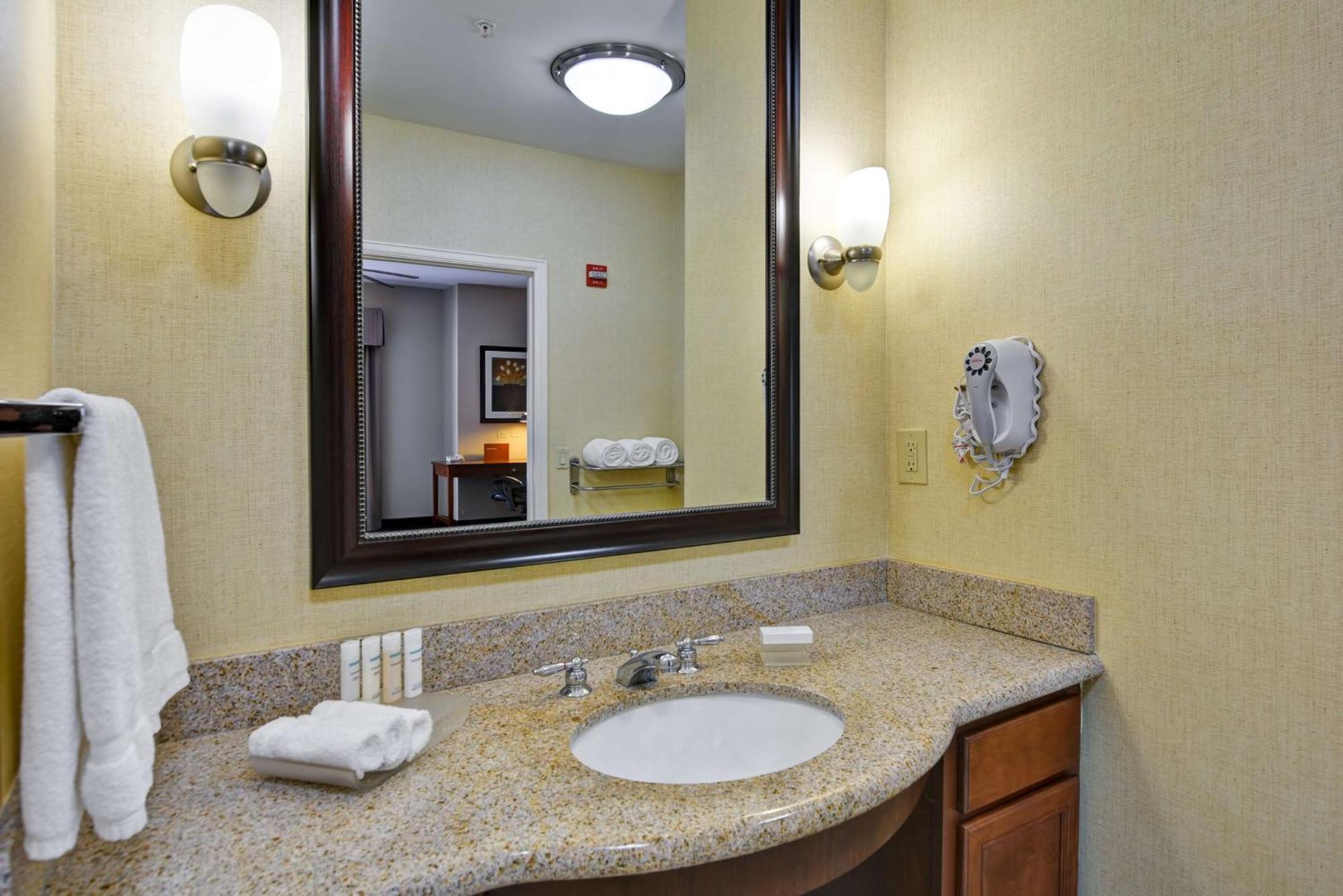 One-Bedroom King Suite Non-Smoking