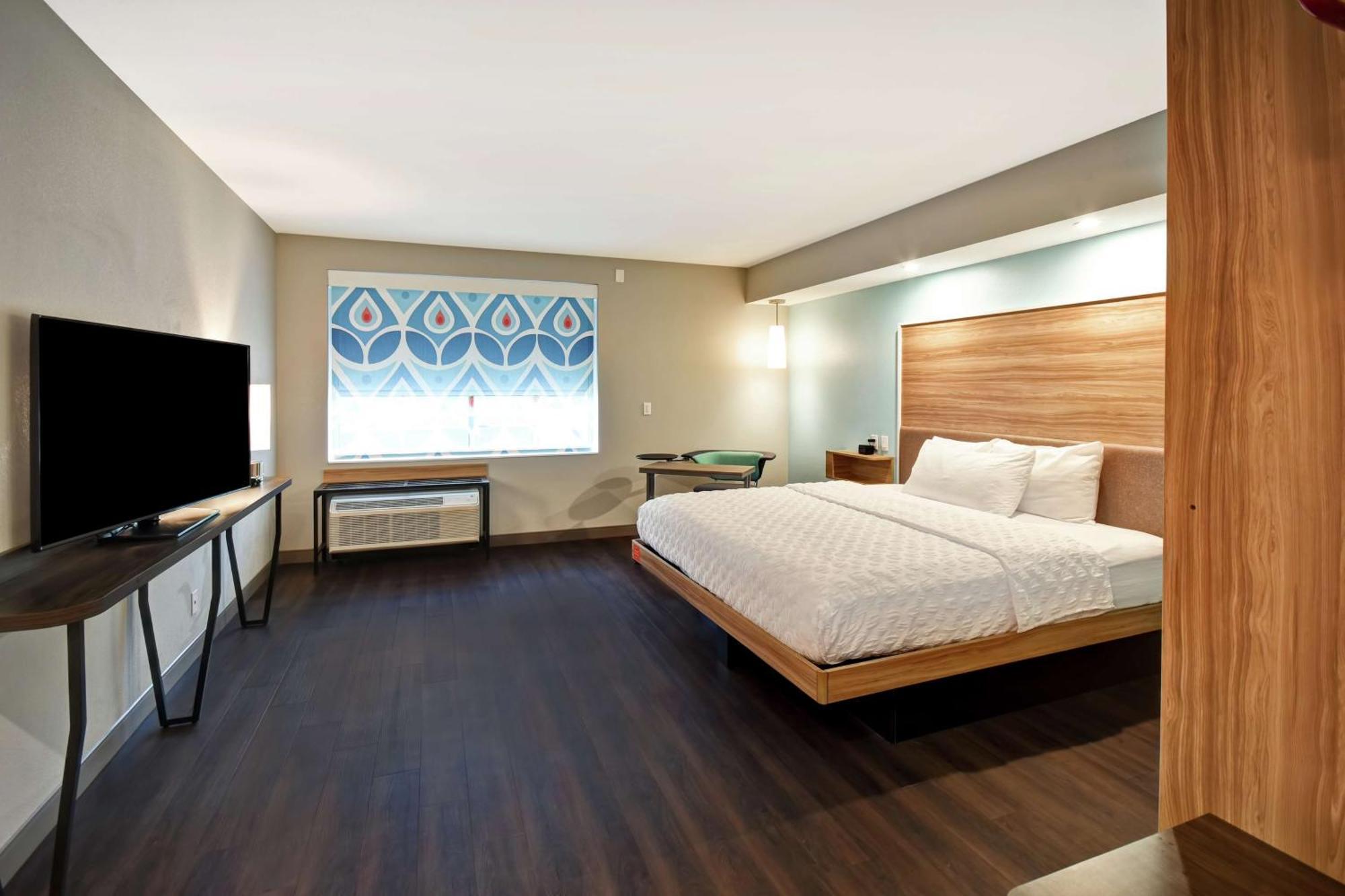 King Room Accessible Tub Mobility Access