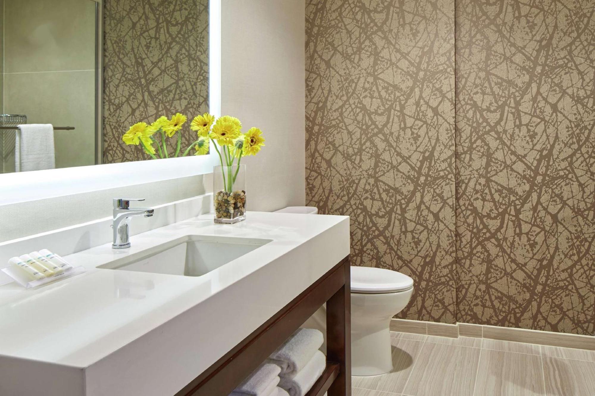 King Room Accessible Tub Mobility Access