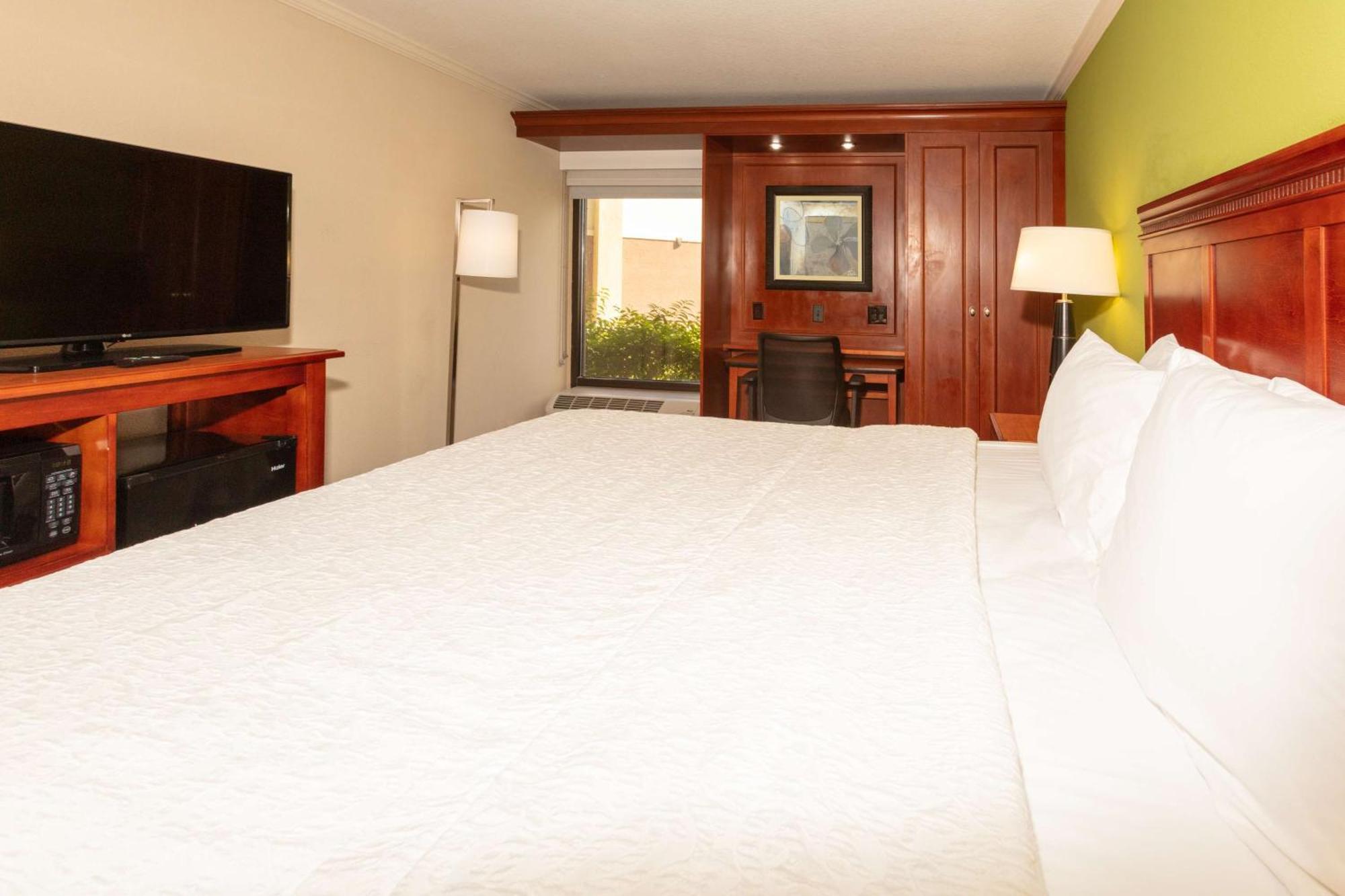 King Room King Bed Non-Smoking