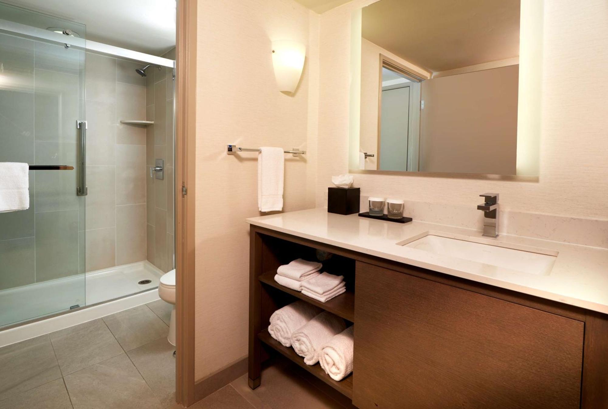Two Room King Suite Mountain View