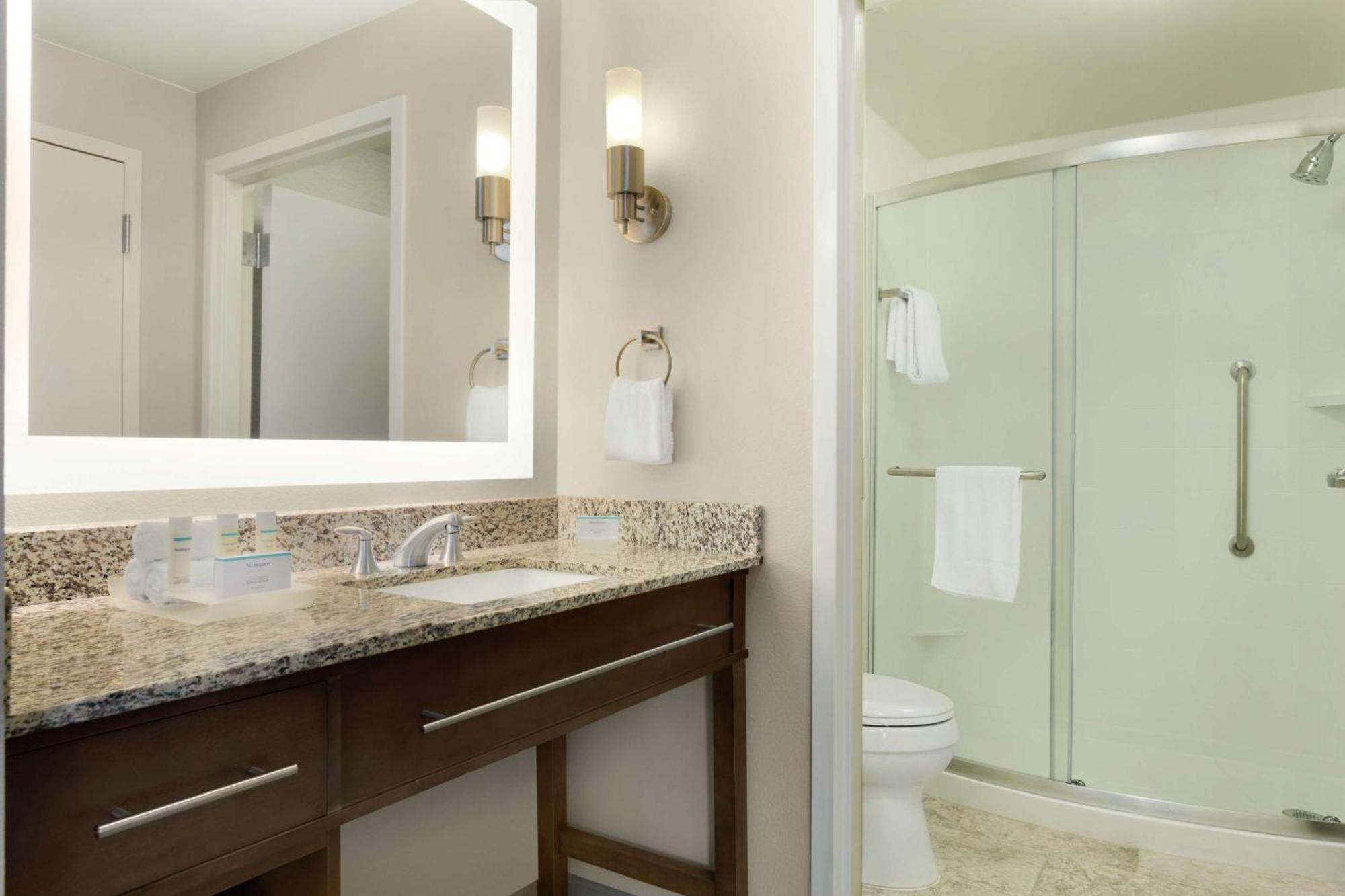 King Studio Suite Mountain View Non-Smoking