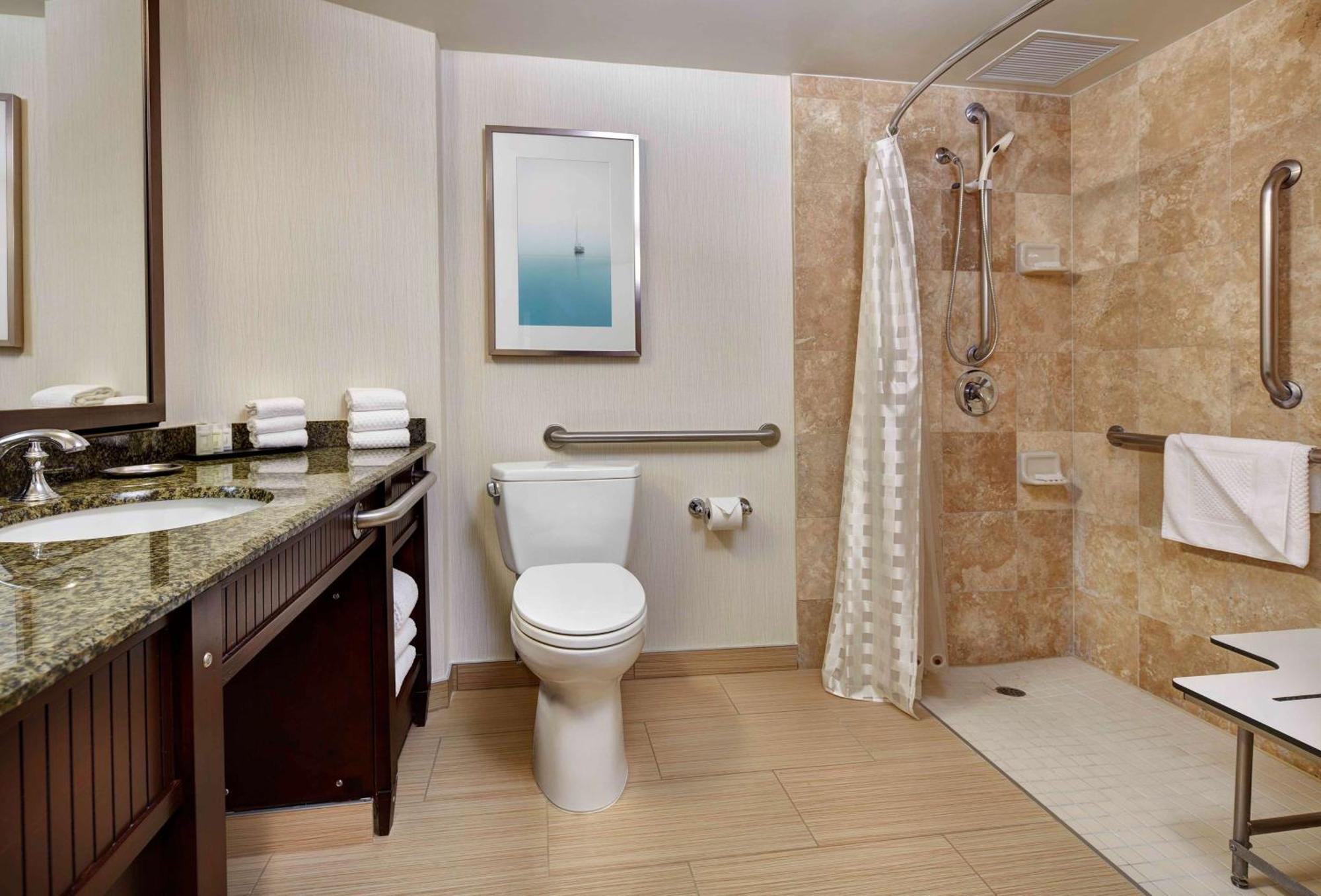 King Room Roll Shower Mobility Access