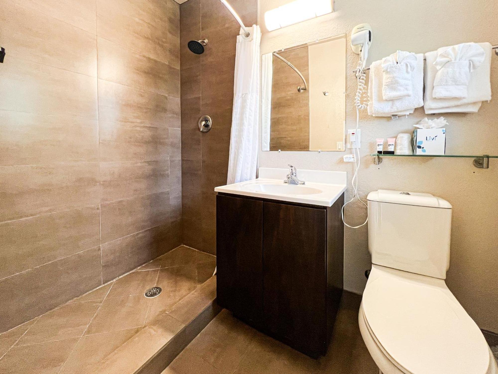 One-Bedroom Apartment King Bed