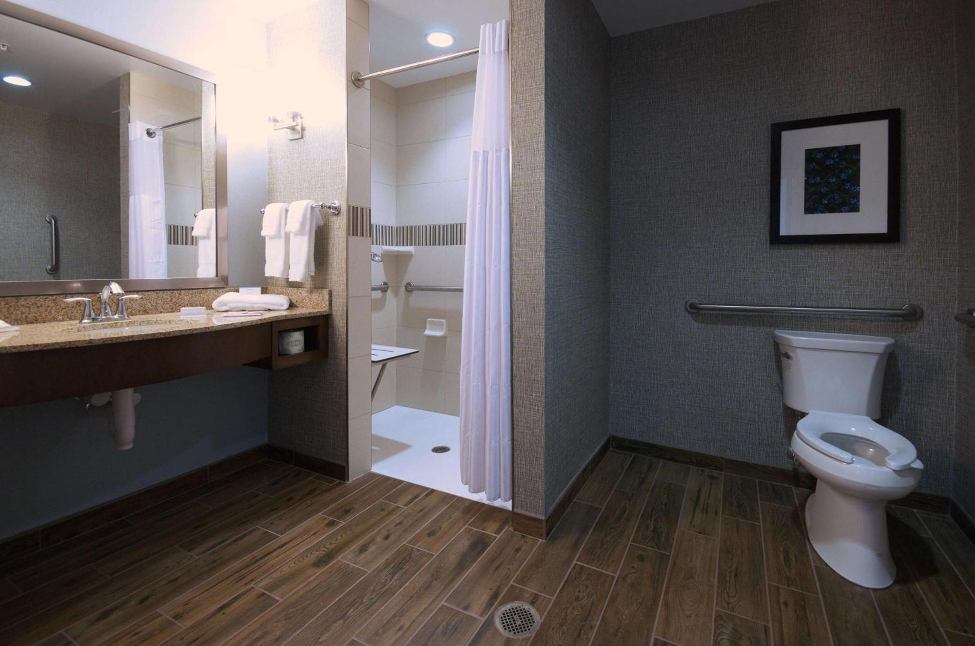 King Room Roll Shower Mobility Access