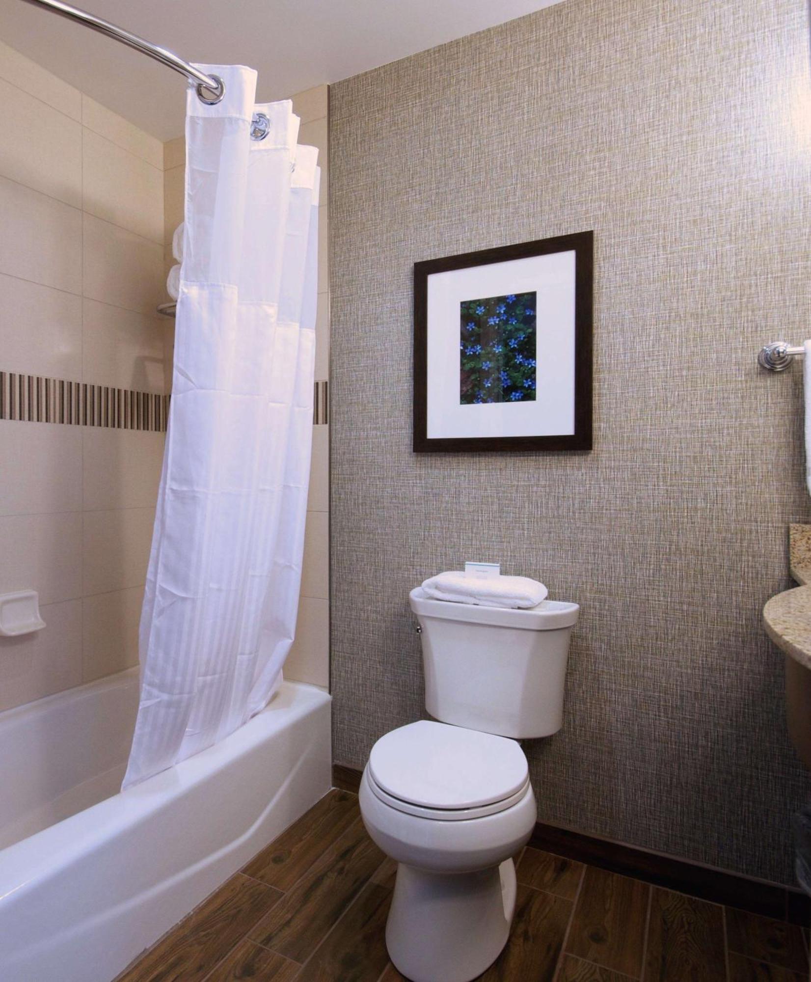 One-Bedroom King Suite