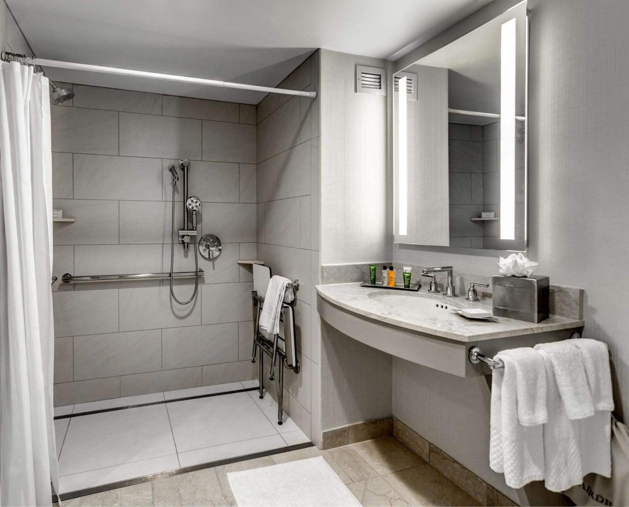 King Room Accessible Tub Mobility Access
