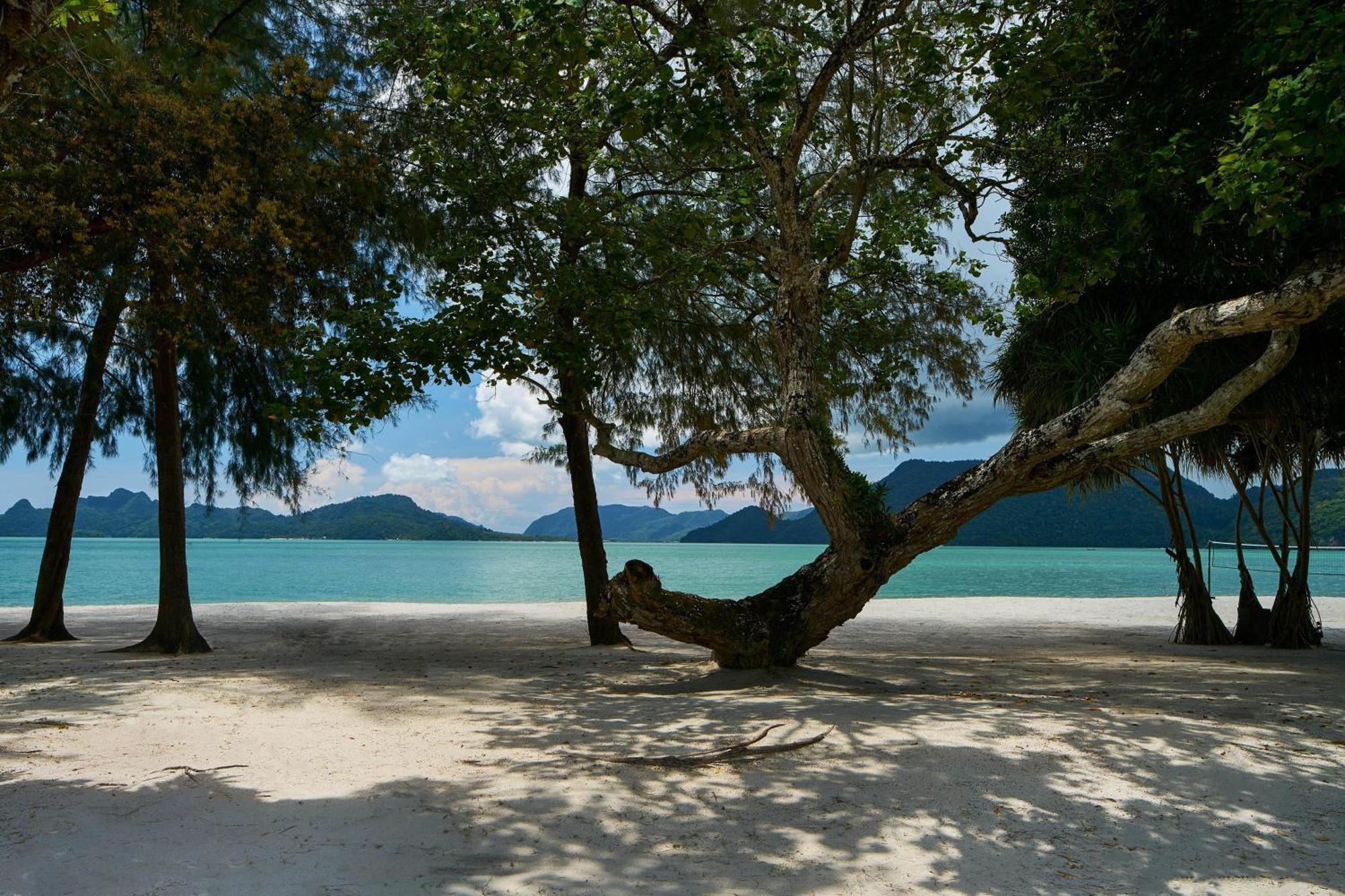One-Bedroom King Villa Private Pool Beachfront