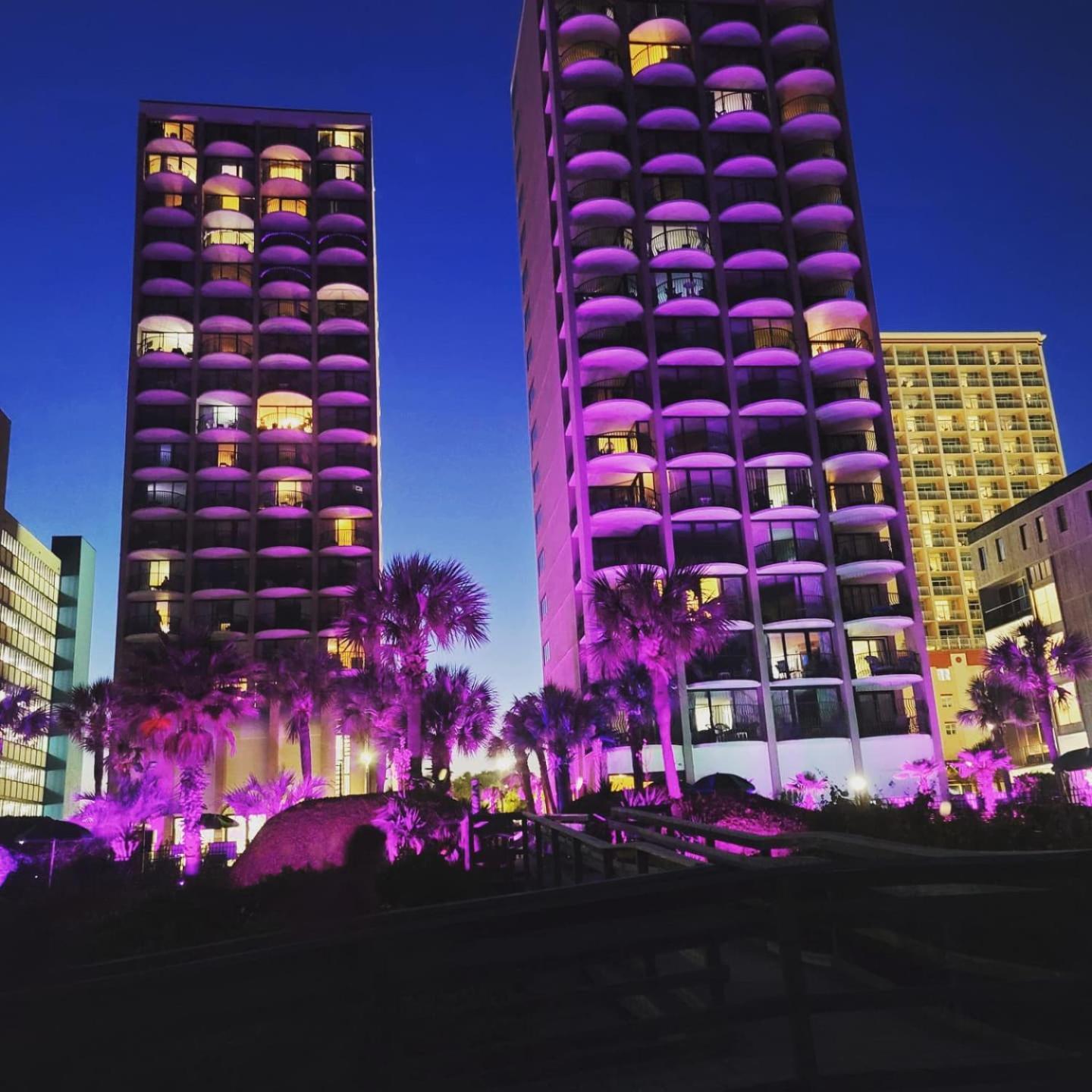 Apartment Sea View