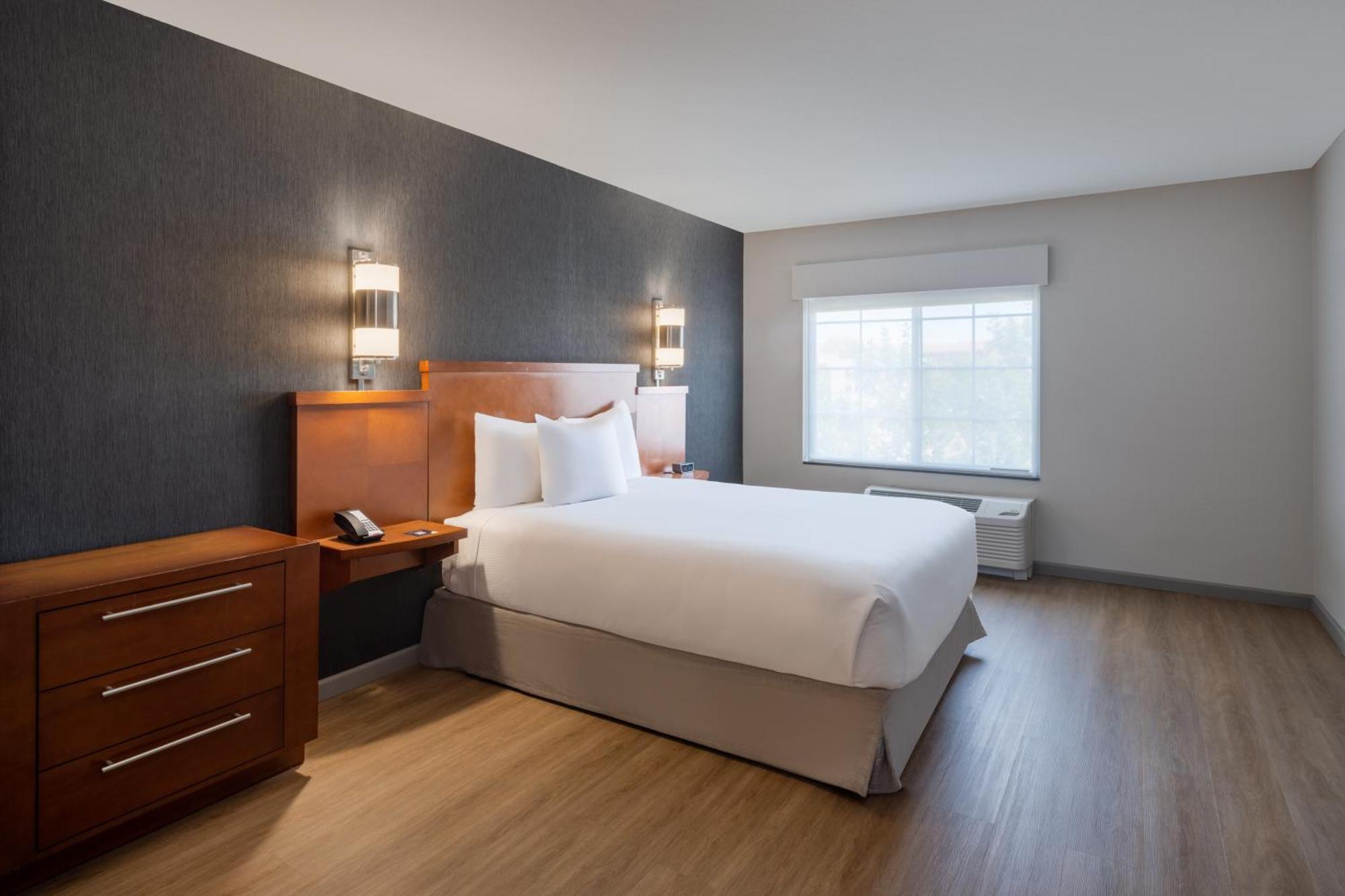 Queen Room Sofa Bed Roll Shower Disability Access