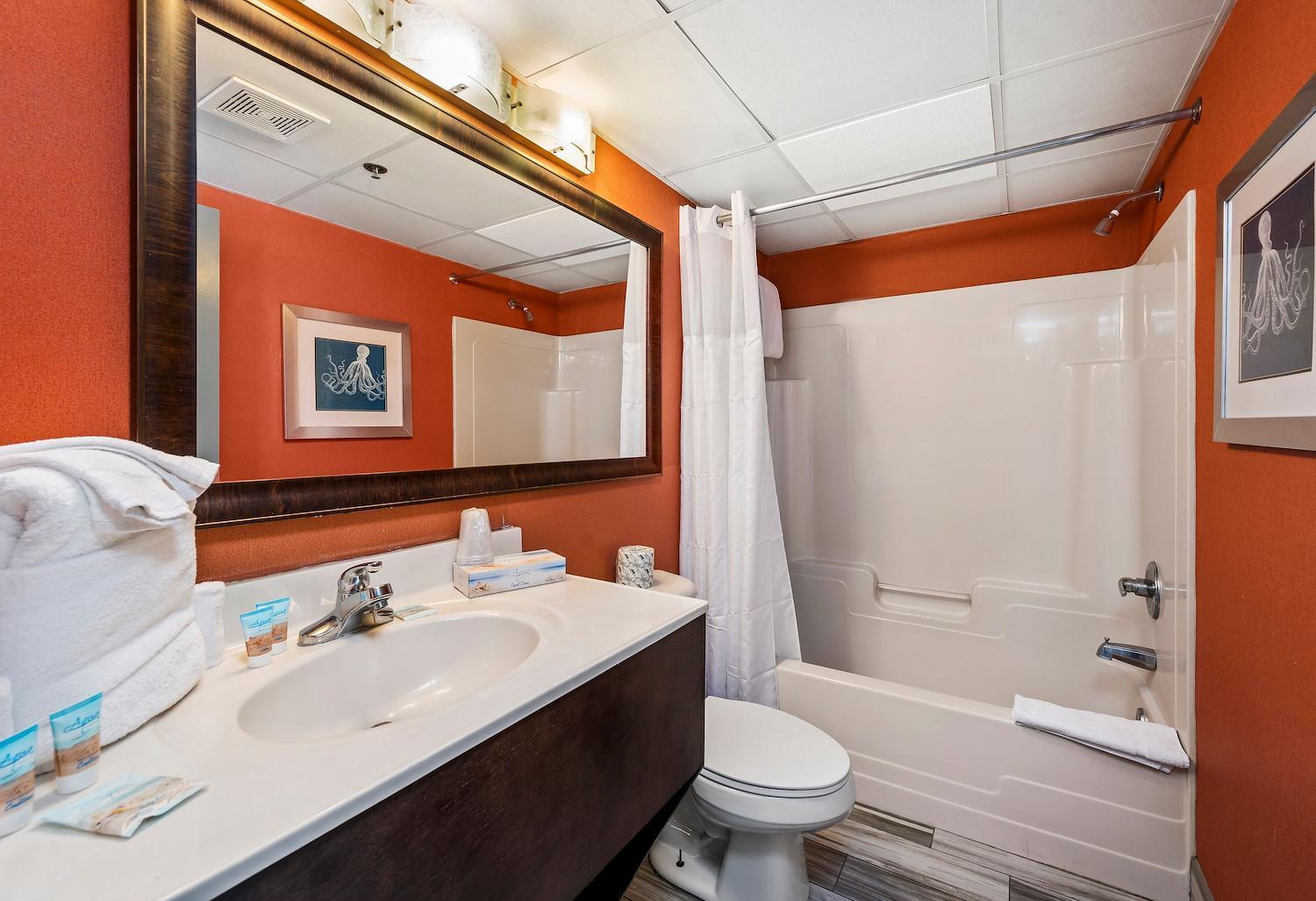 King Room Spa Bath