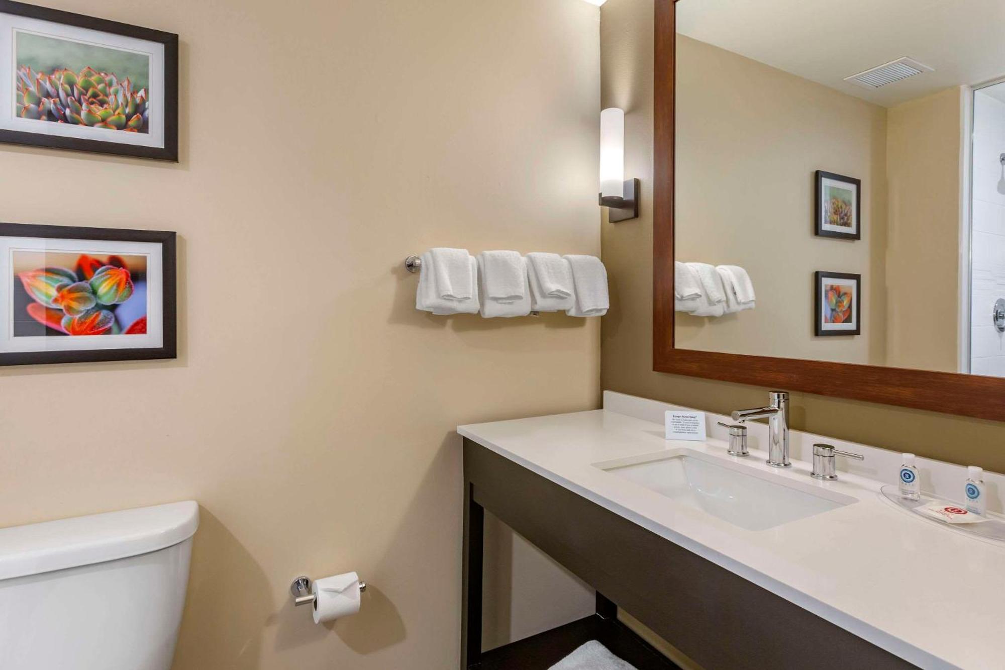 King Suite Mobility Hearing Accessible or Non-Smoking