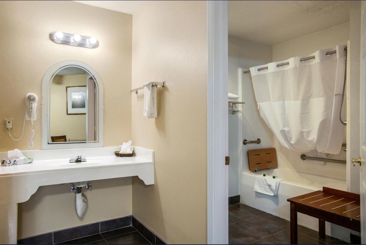 King Room Mobility Access Bathtub Grab Bars Non-Smoking