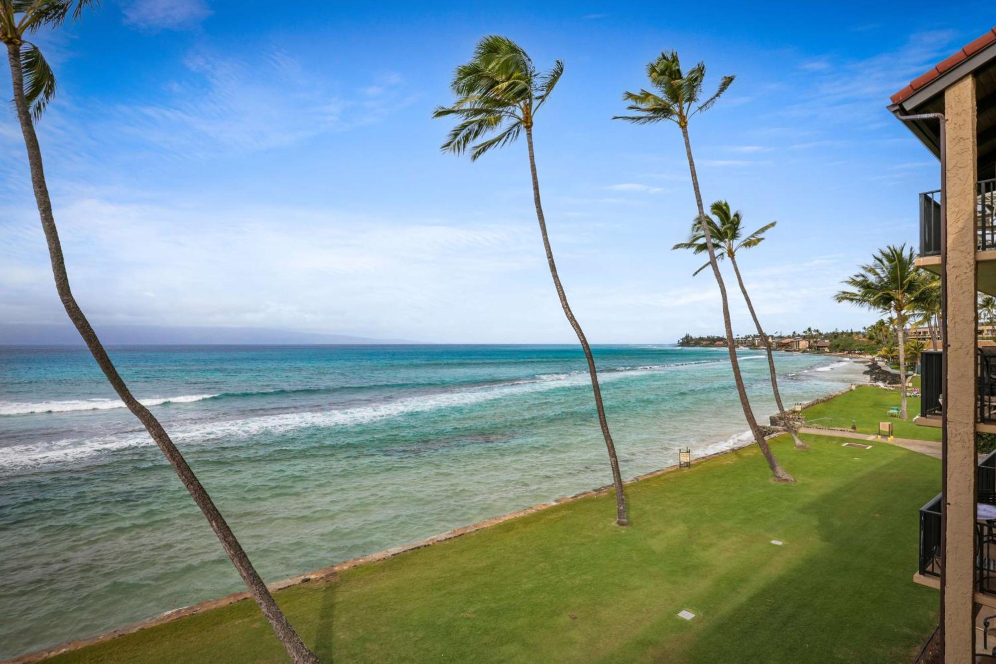Oceanfront One-Bedroom Suite