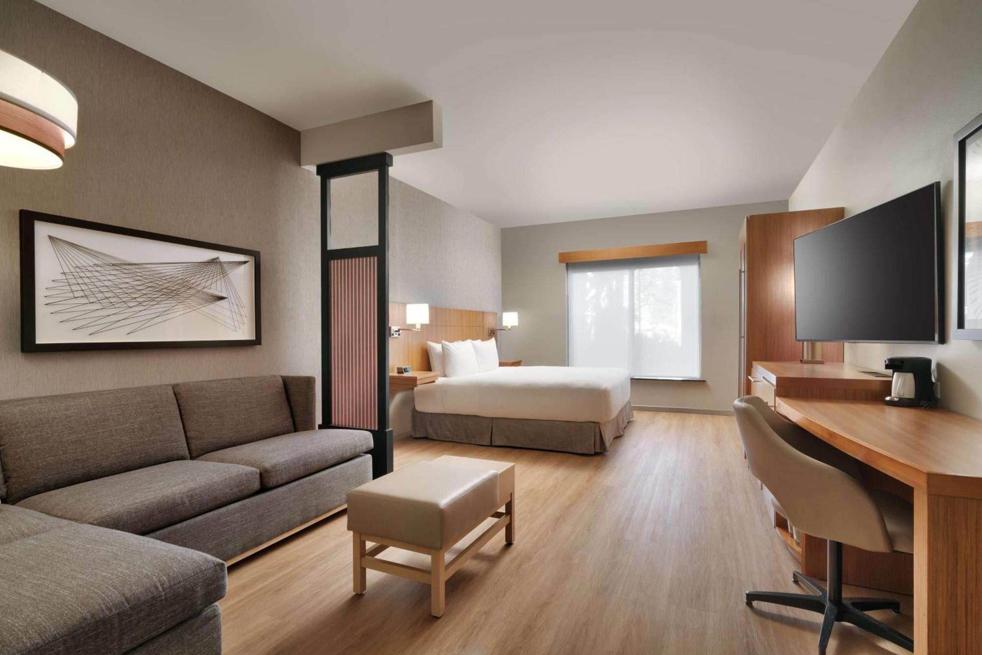 King Room Sofa Bed