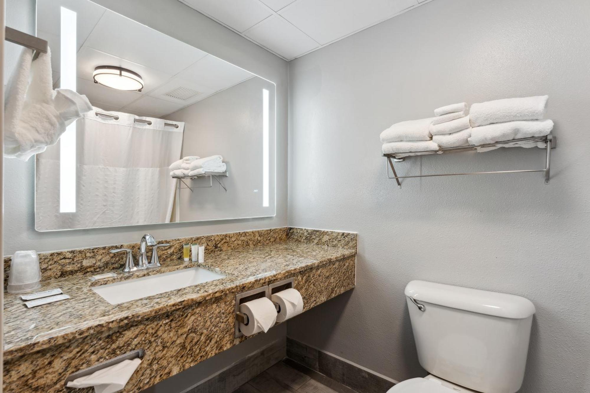 One-Bedroom King Suite Non-Smoking
