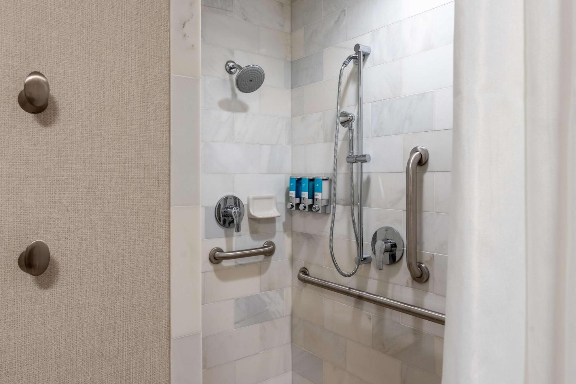 King Suite Sofa Bed Accessible Roll Shower
