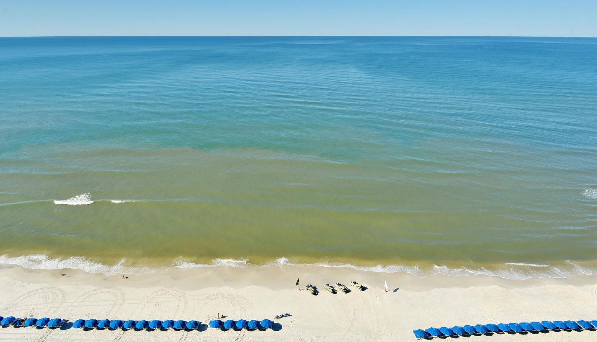 Apartment Sea View