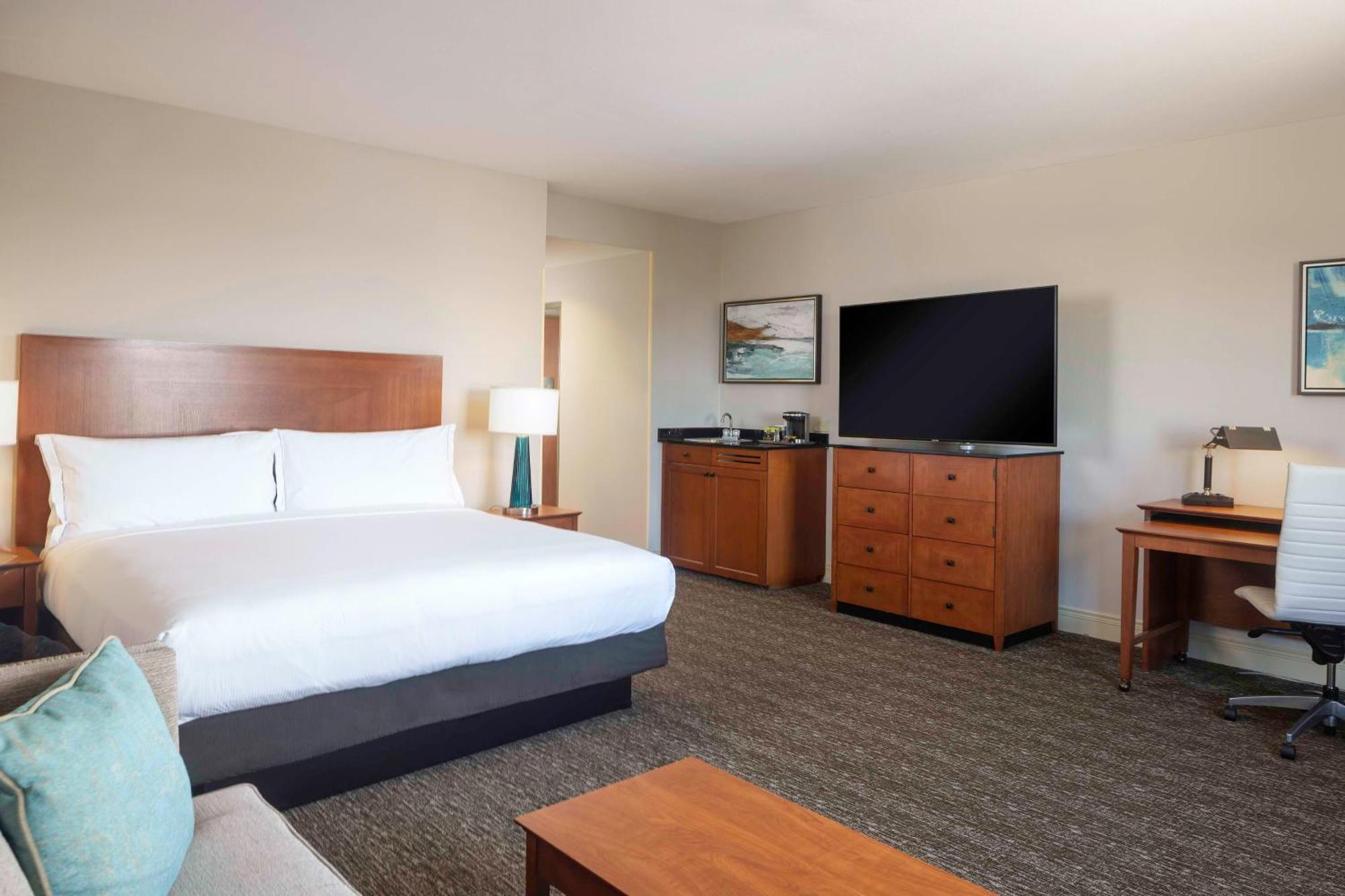 One-Bedroom Mini Suite