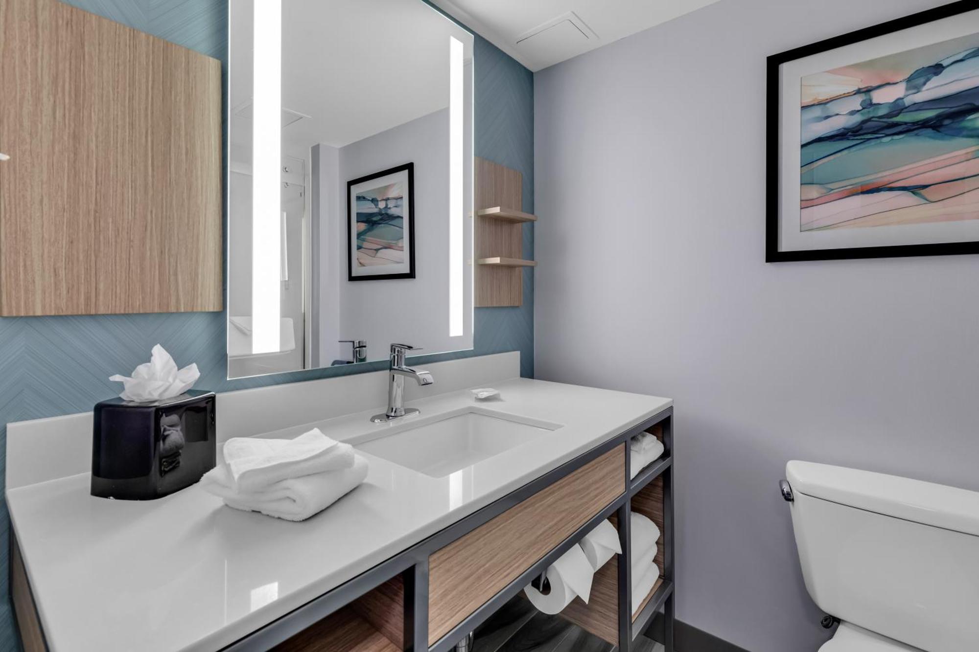 King Room Bath Tub Mobility Access