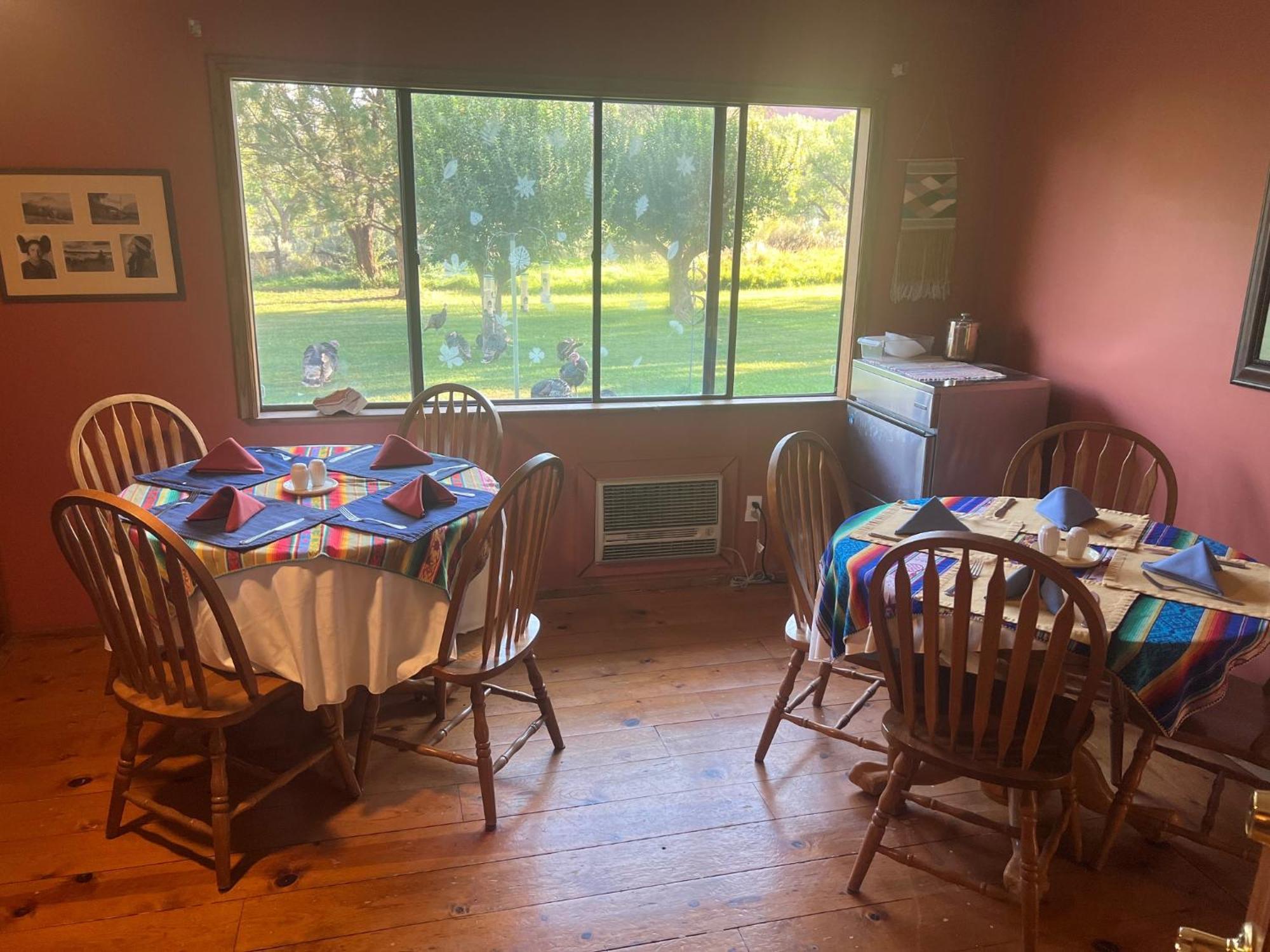 King Room Garden View