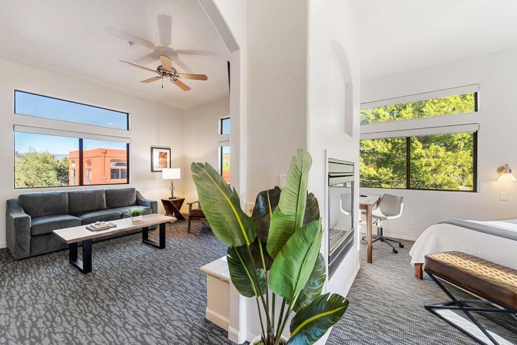 Premium Suite