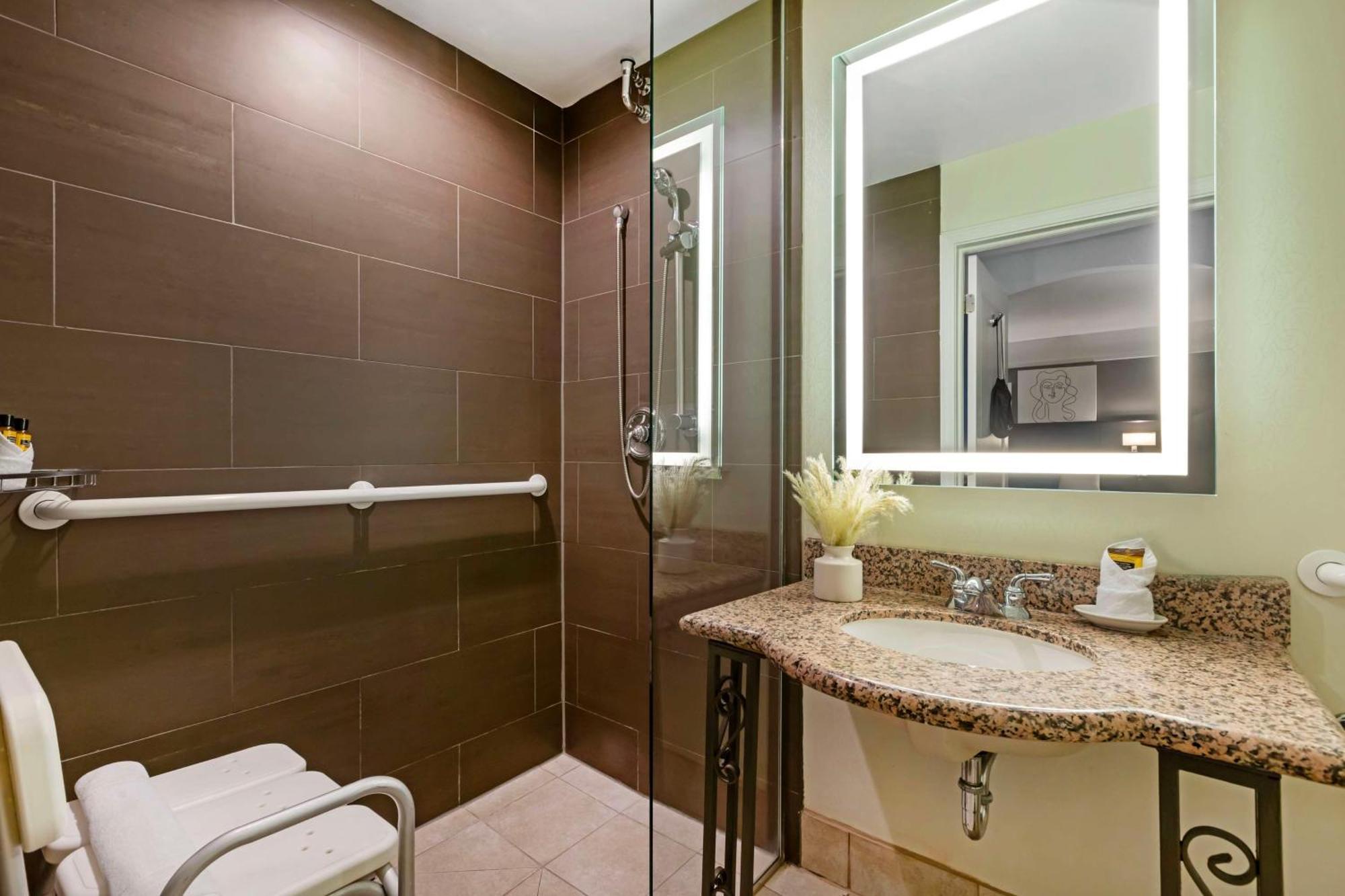 King Room Roll Shower Disability Access or Non-Smoking