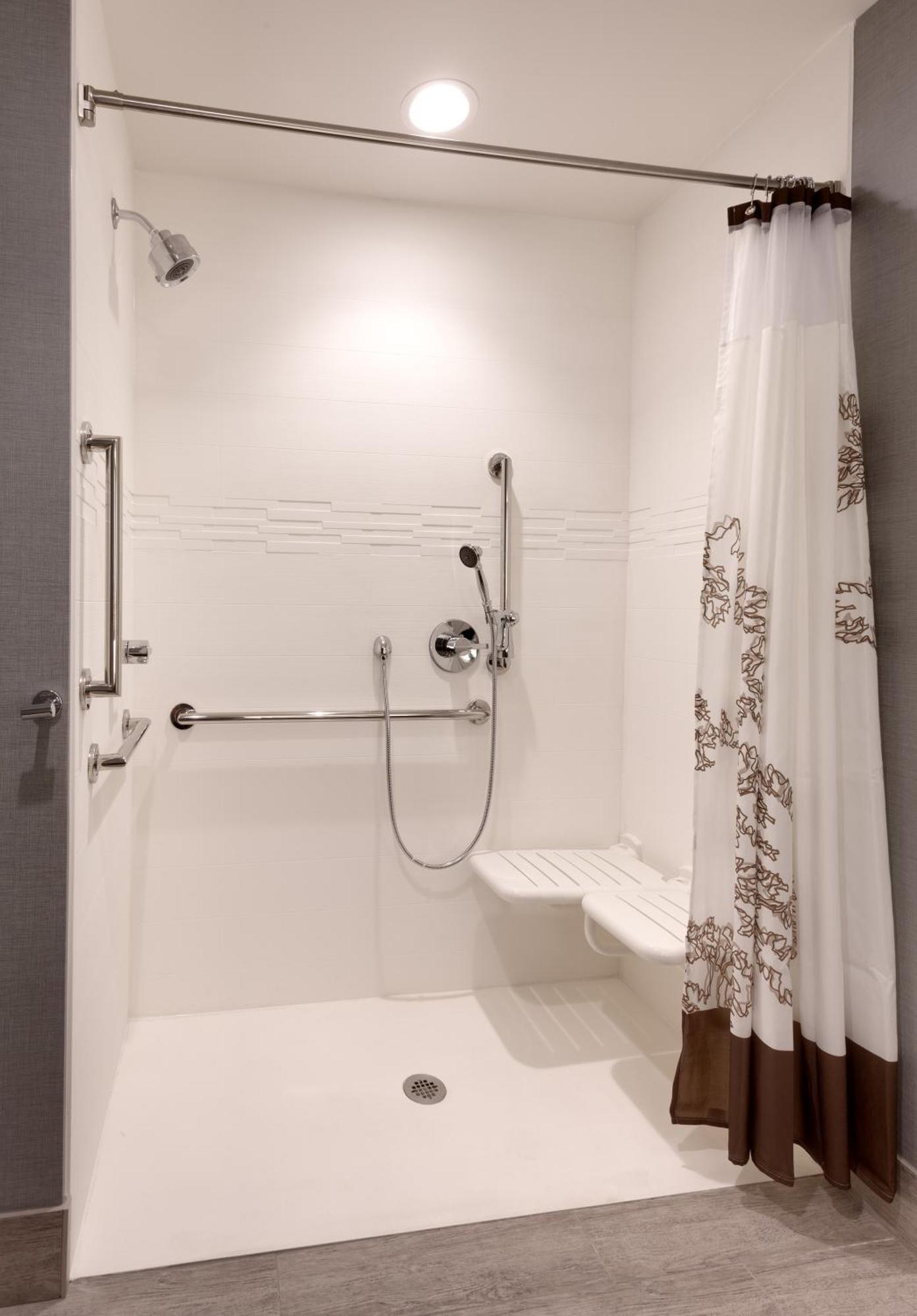 Studio King Room Non-Private Sofa Bed Mobility Accessible Roll Shower