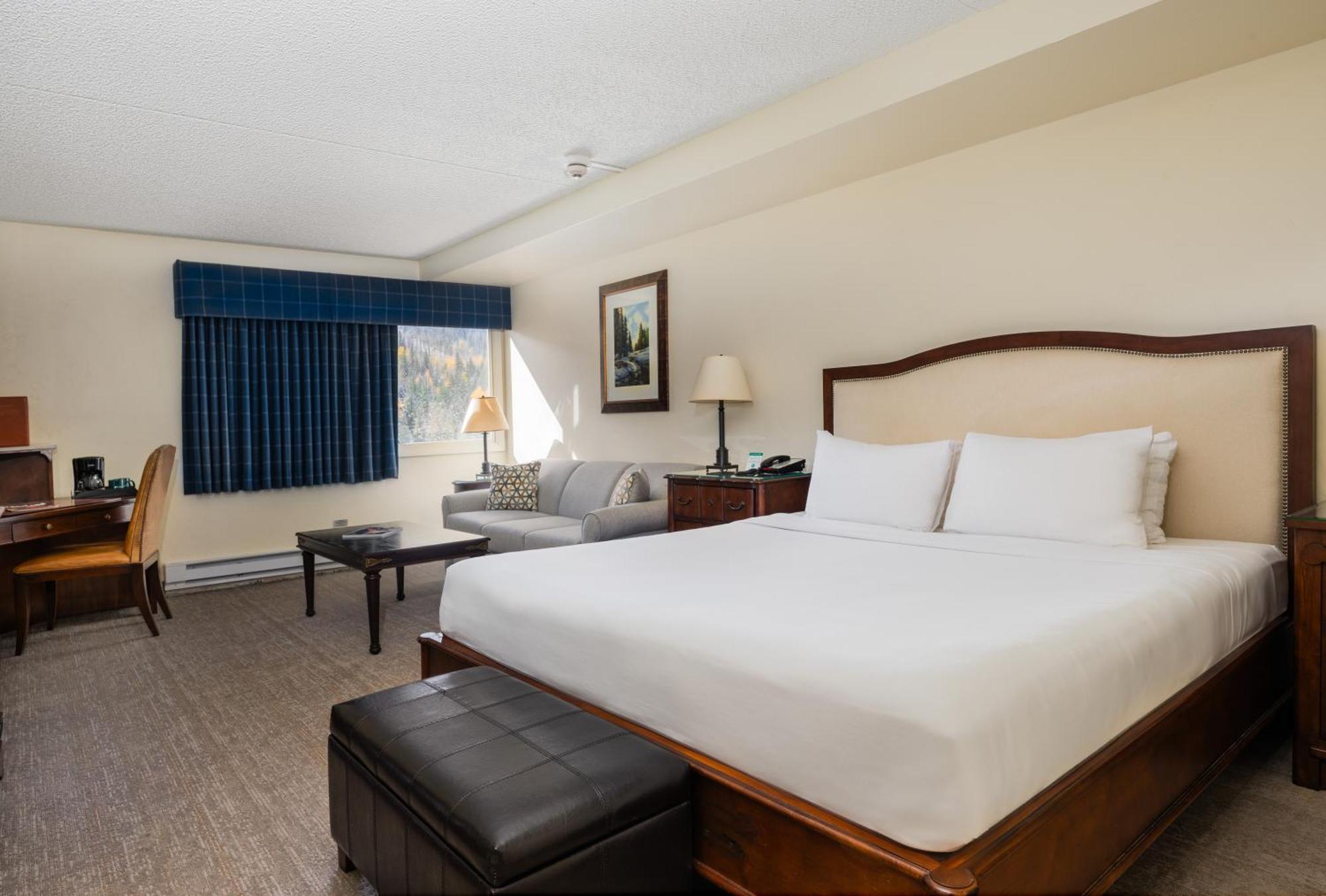 King Room Sofa Bed Mountain View