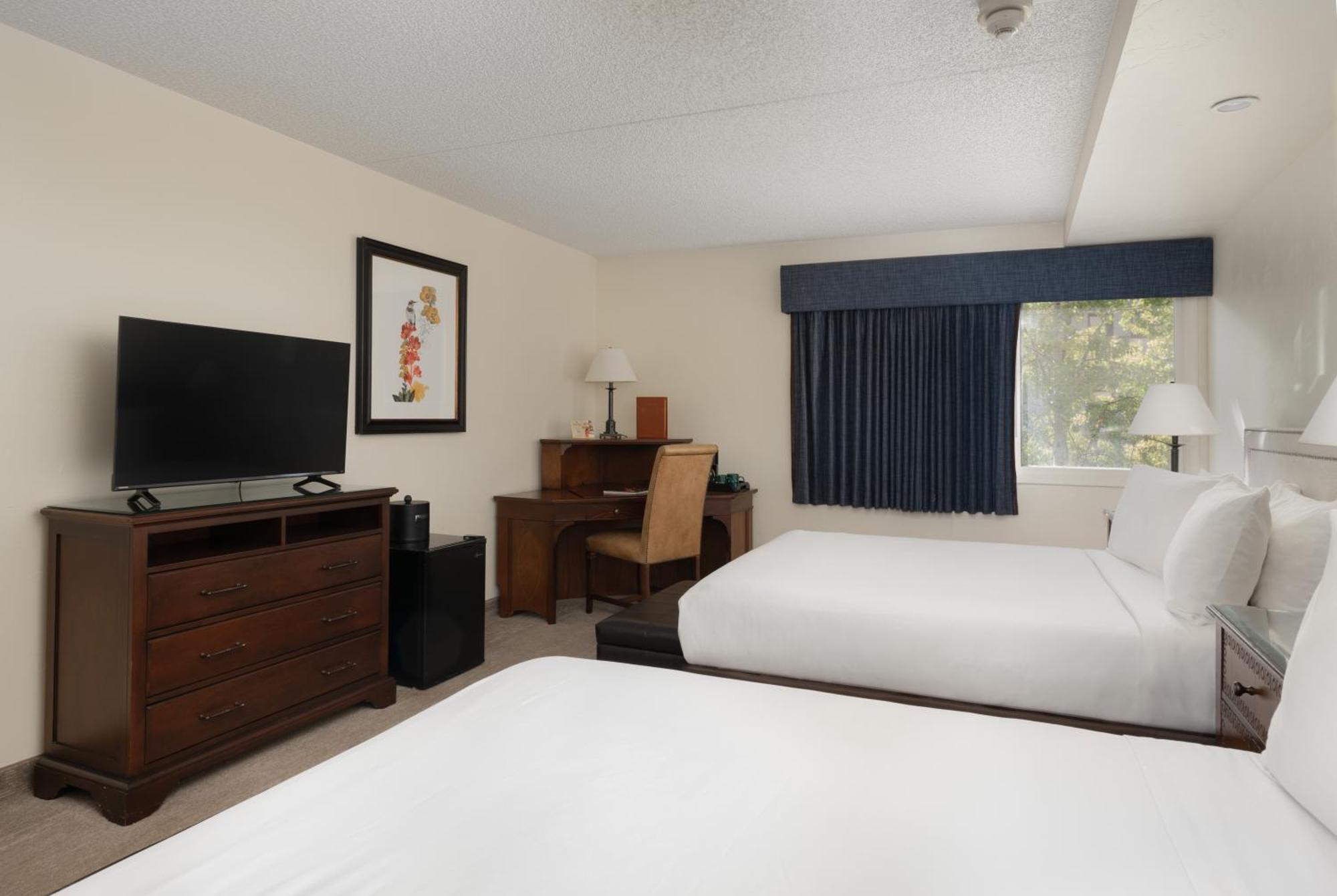 Queen Room Two Queen Beds Mountain View