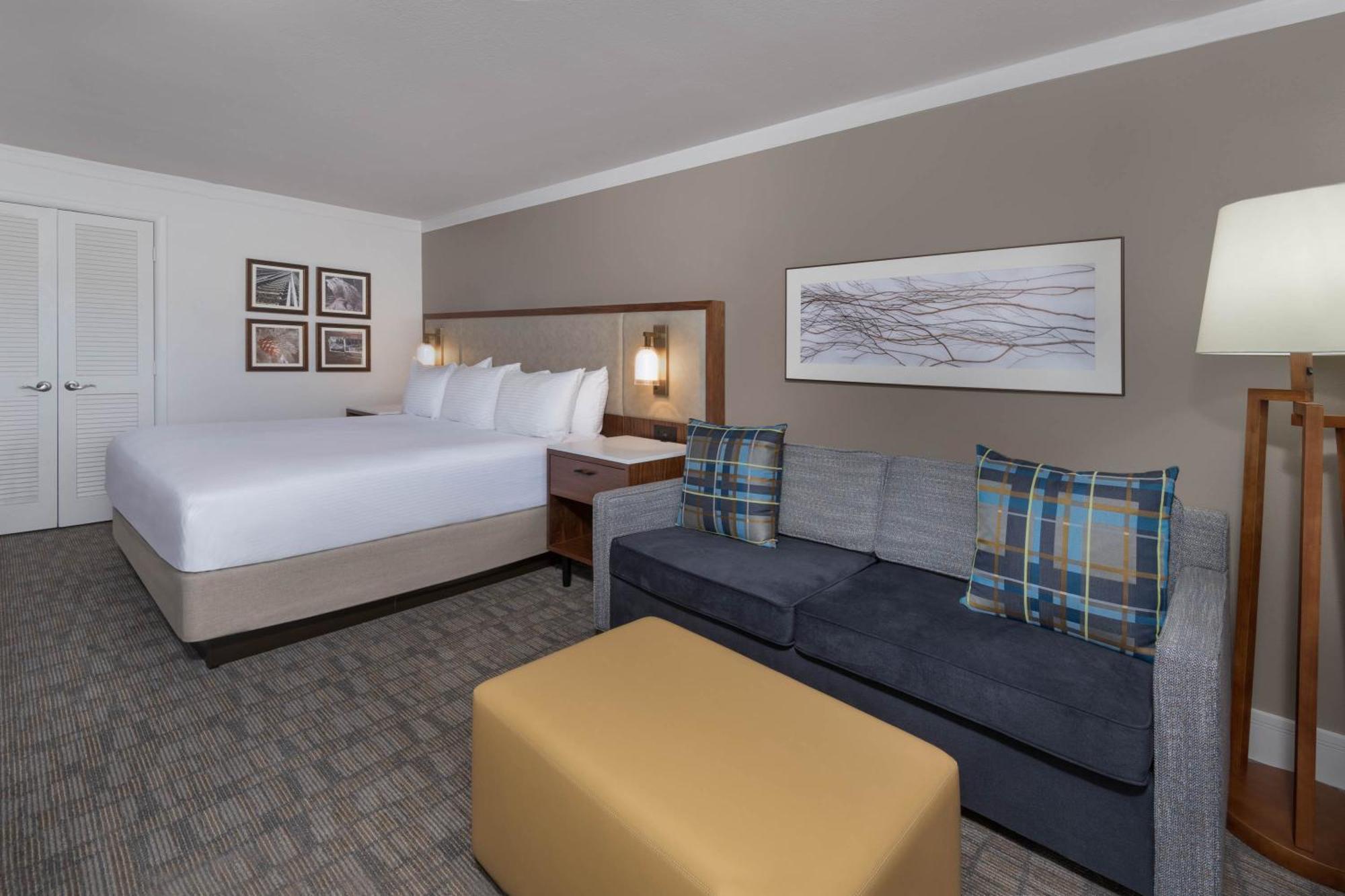 King Room Sofa Bed Mountain View