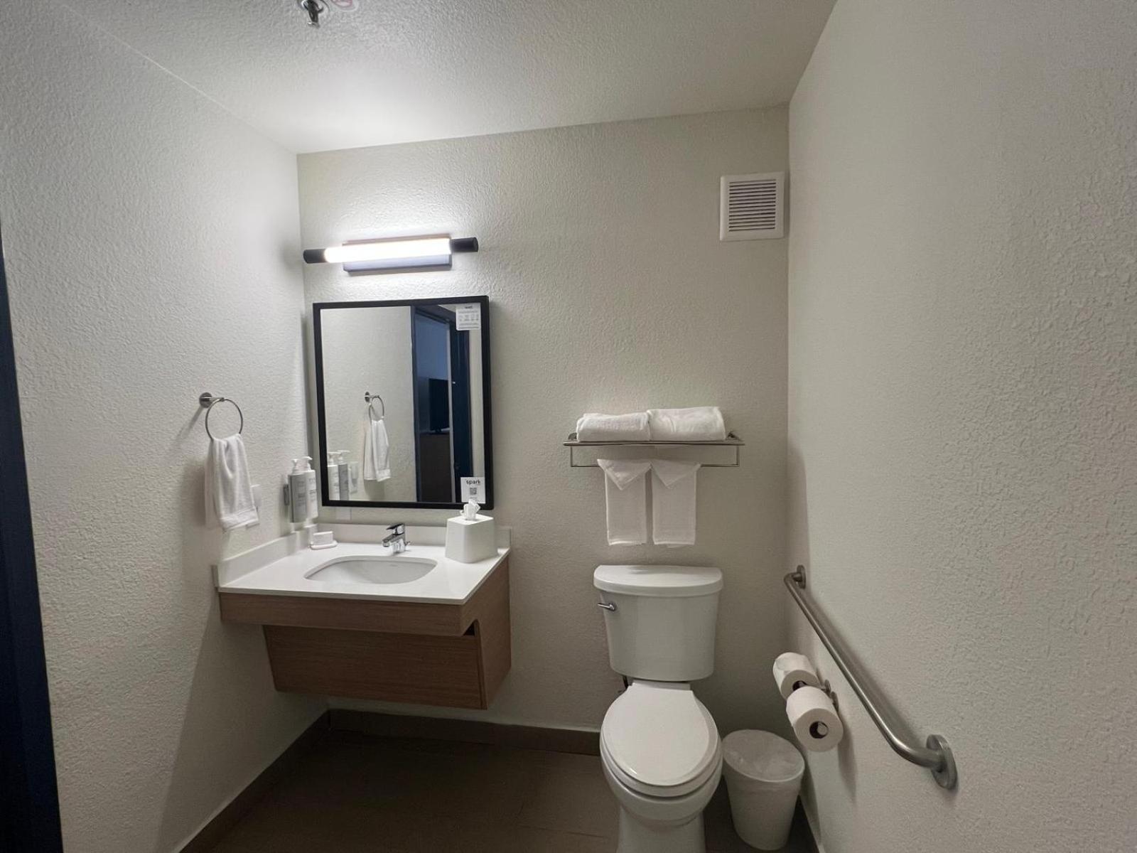 King Room Roll Shower Mobility Hearing Access
