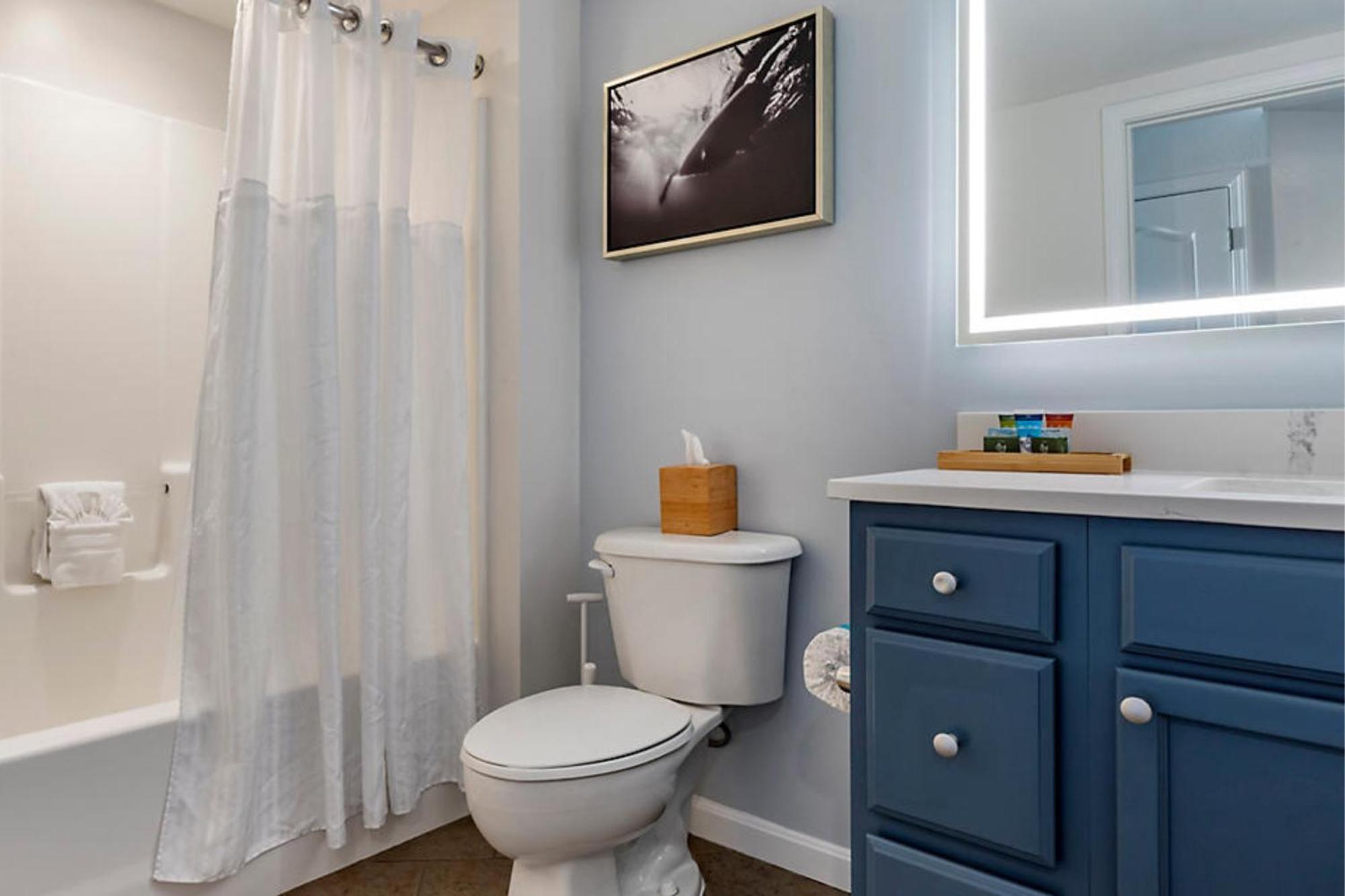 Family Room Disability Access