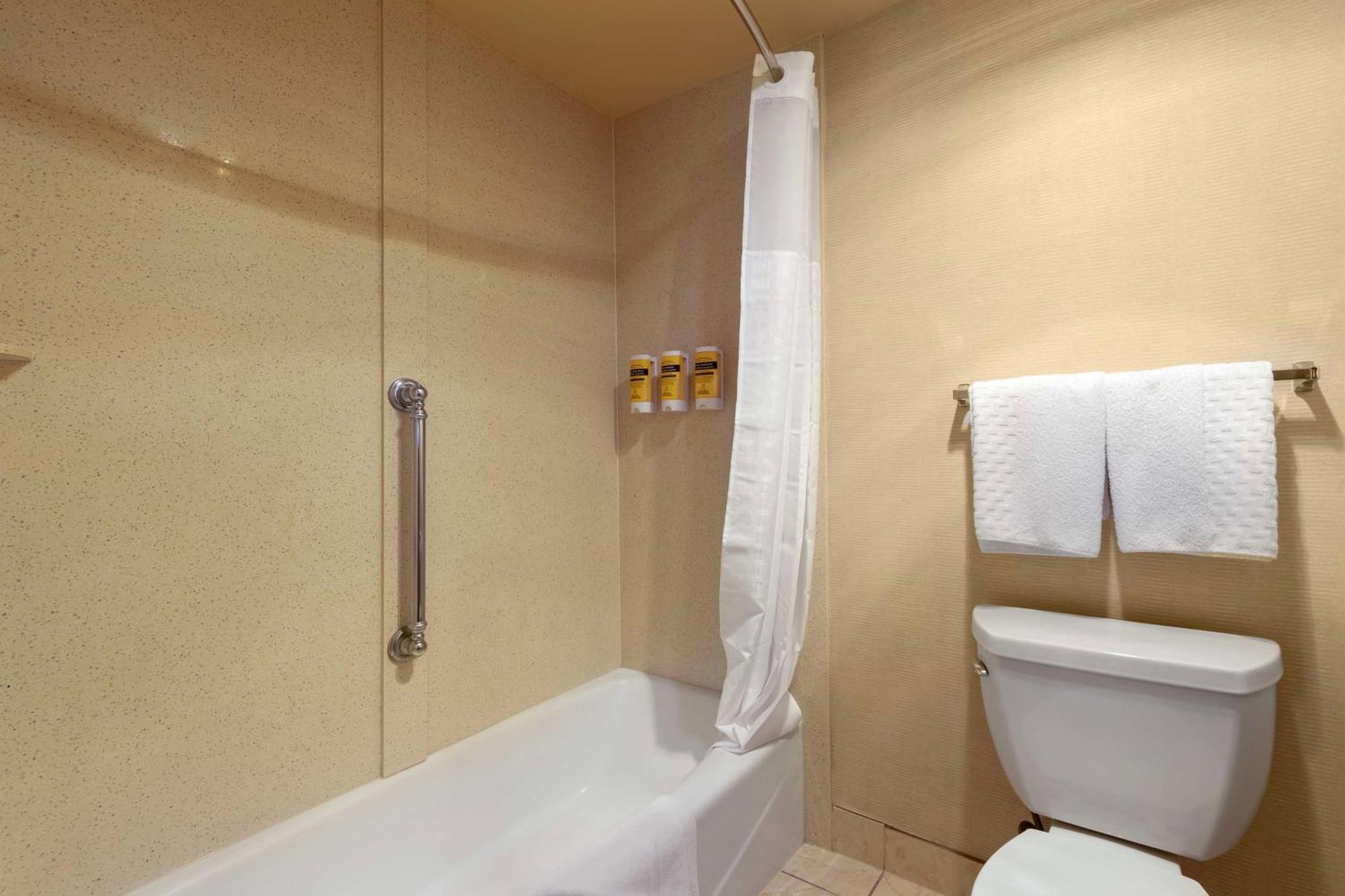 King Room Sofa Wet Bar Interior Room or Non-Smoking