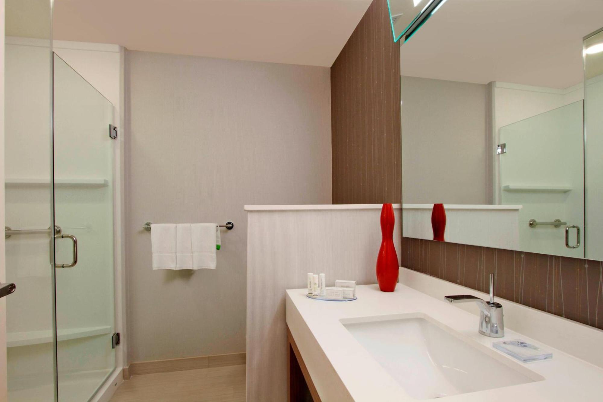 King Room Bathtub Sofa Bed Mobility Access