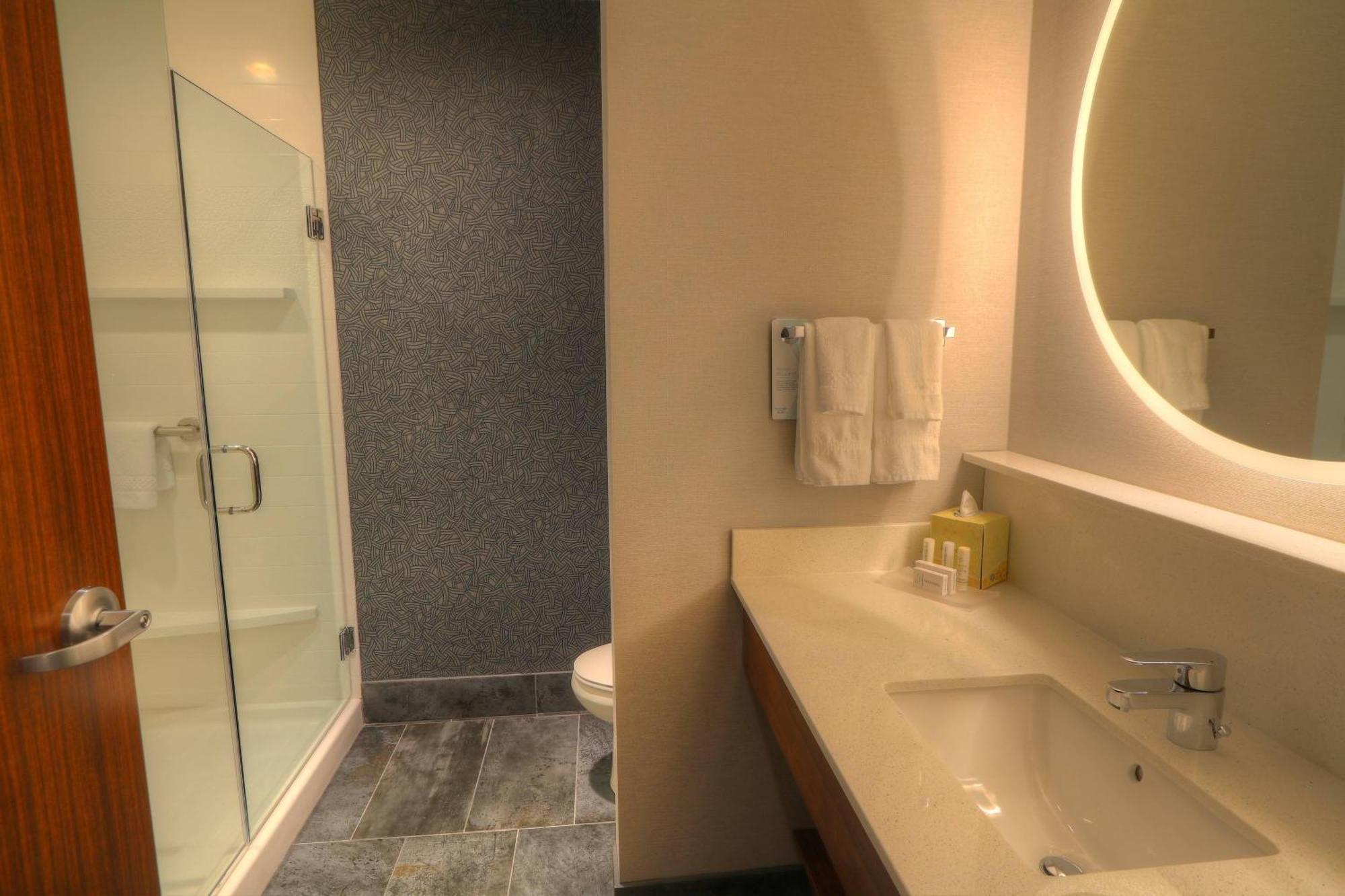King Room Roll Shower Mobility Access or Hearing Accessible