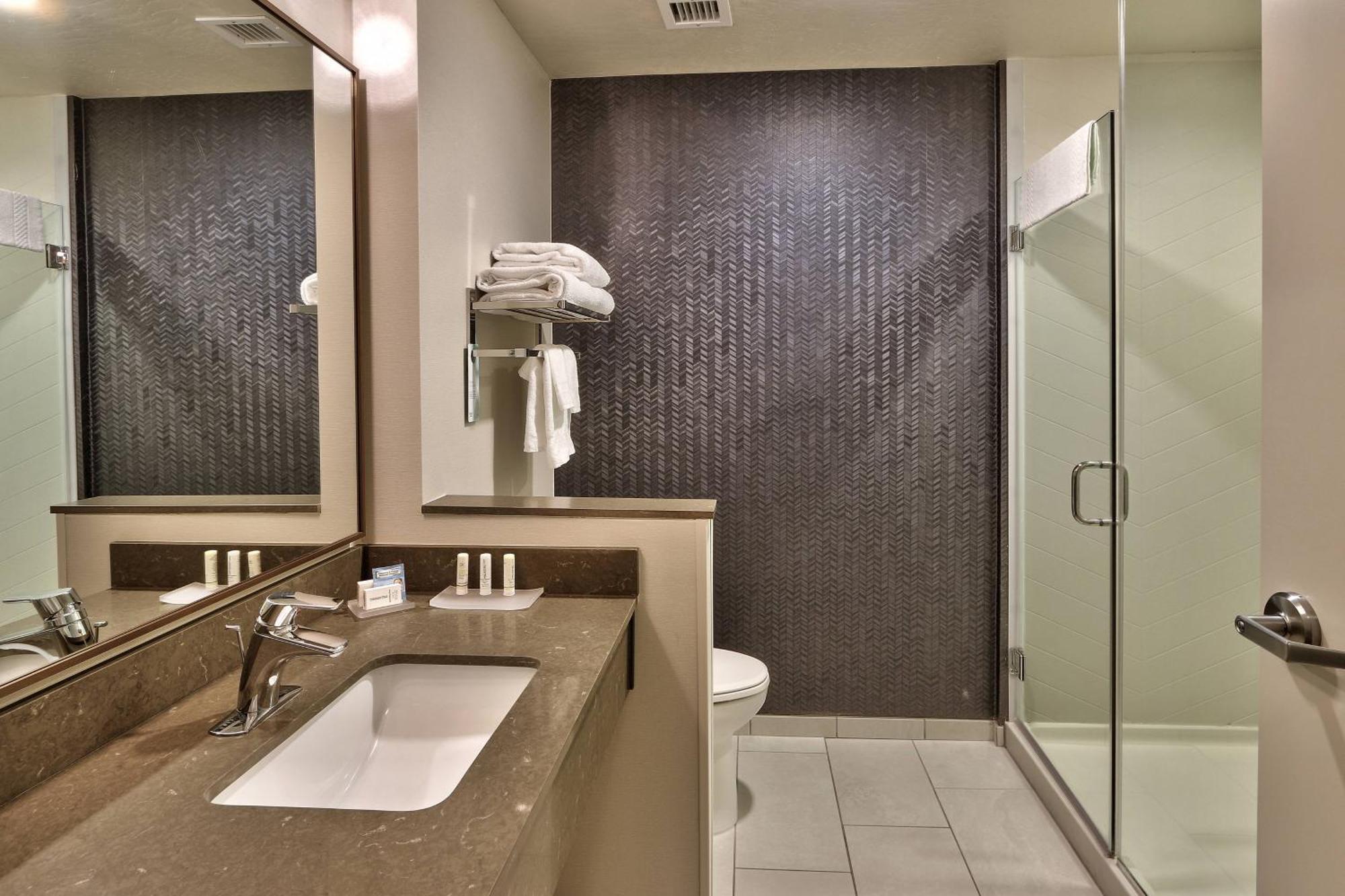 King Room Transfer Shower Roll Shower Mobility Access or Hearing Accessible