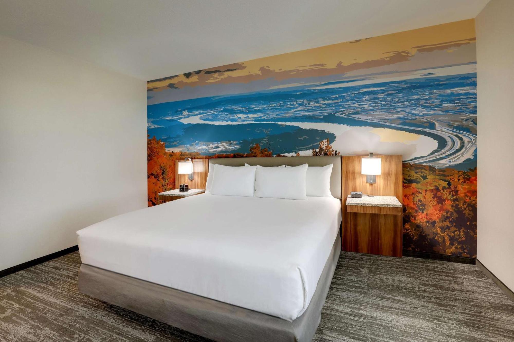1 King Bed Accessible Roll Shower