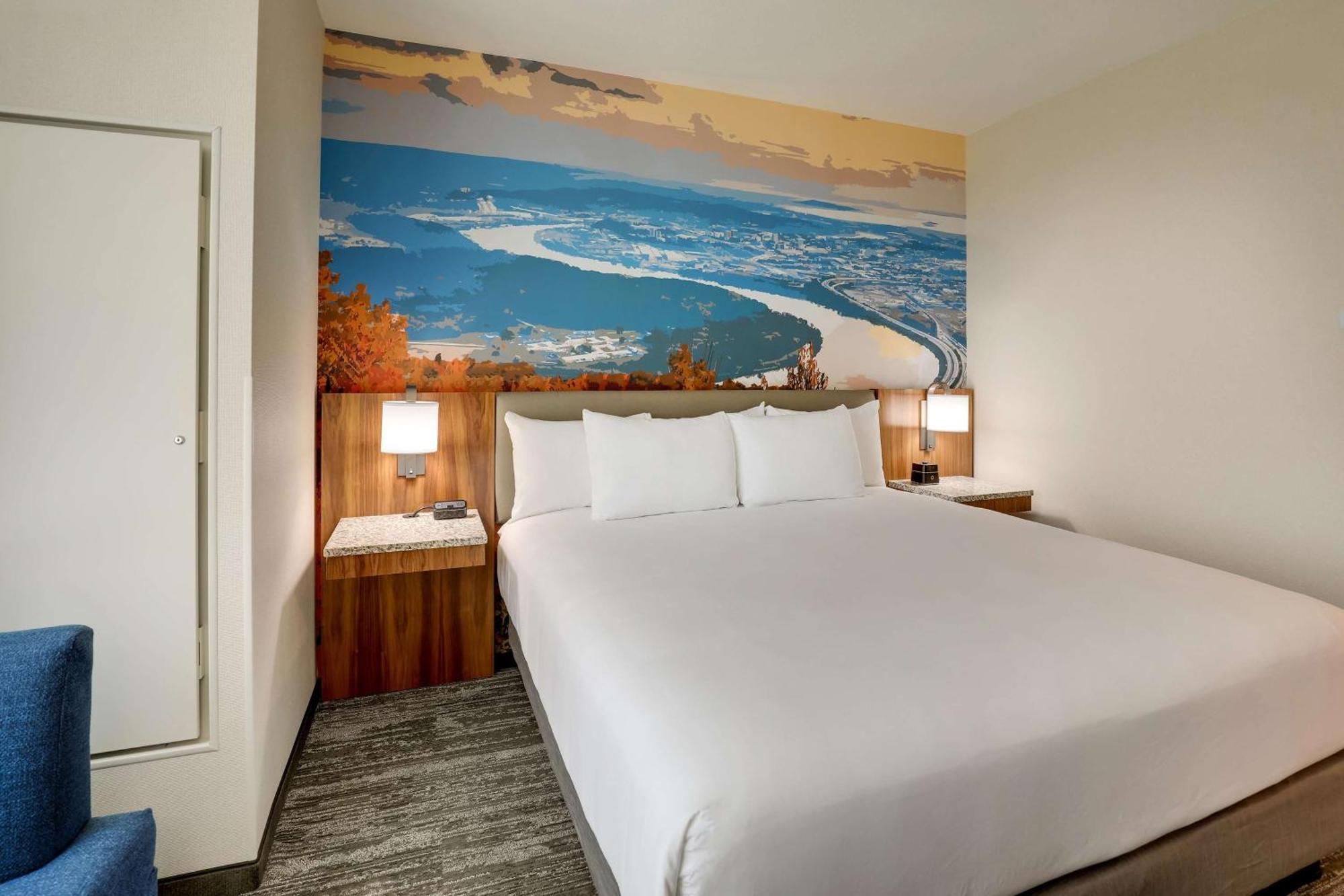 1 King Bed