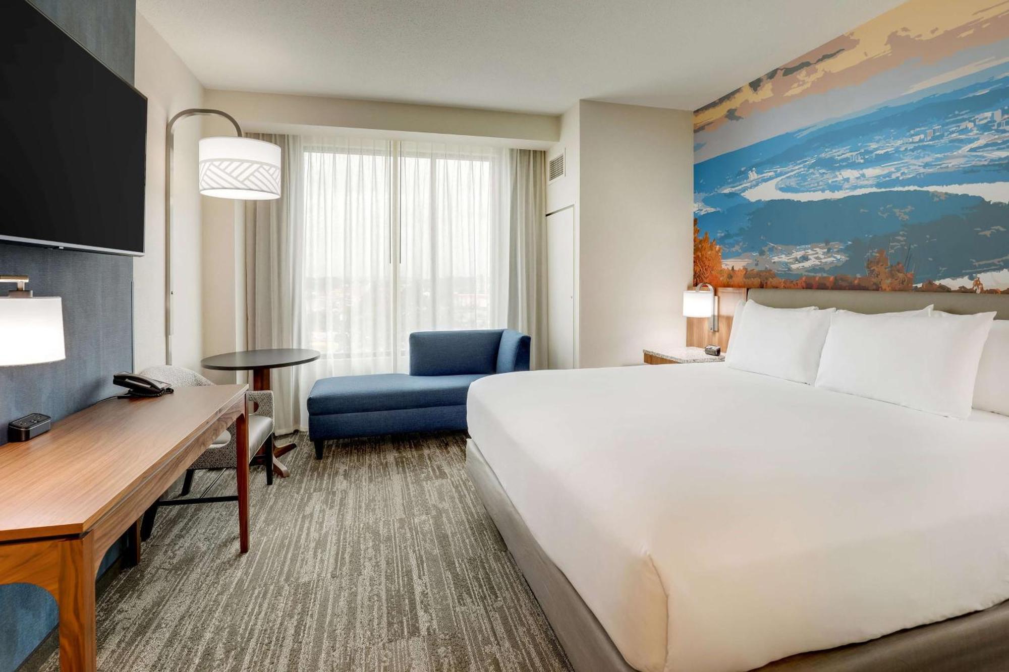 1 King Bed
