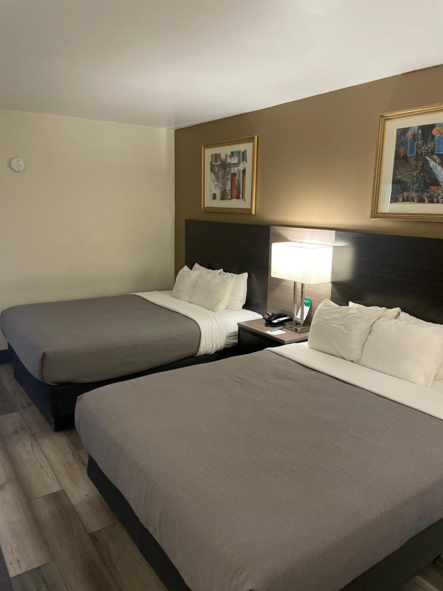 Queen Room Two Queen Beds Disability Access or Non-Smoking