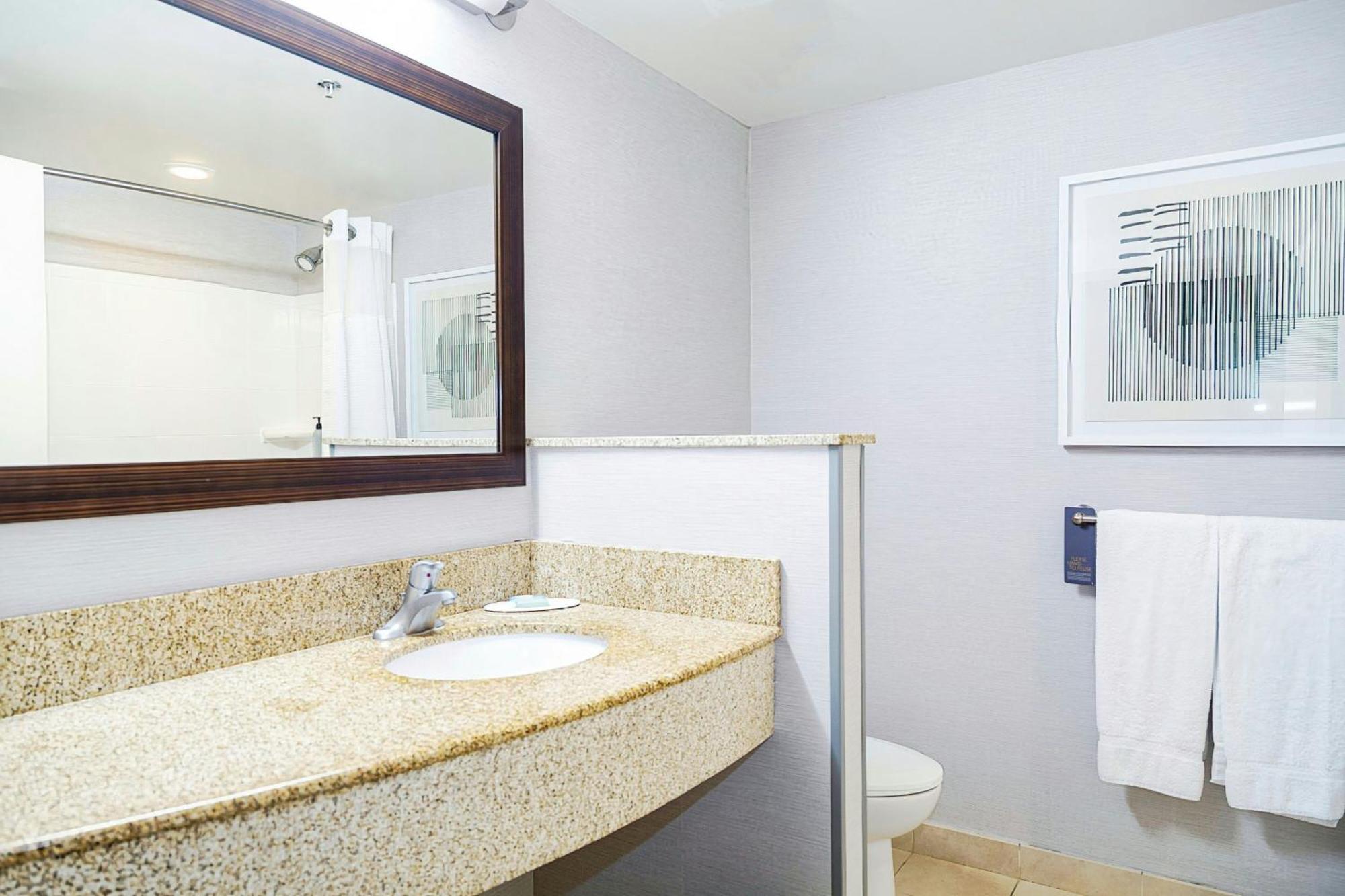 King Room Roll Shower Sofa Bed Mobility Access or Hearing Accessible