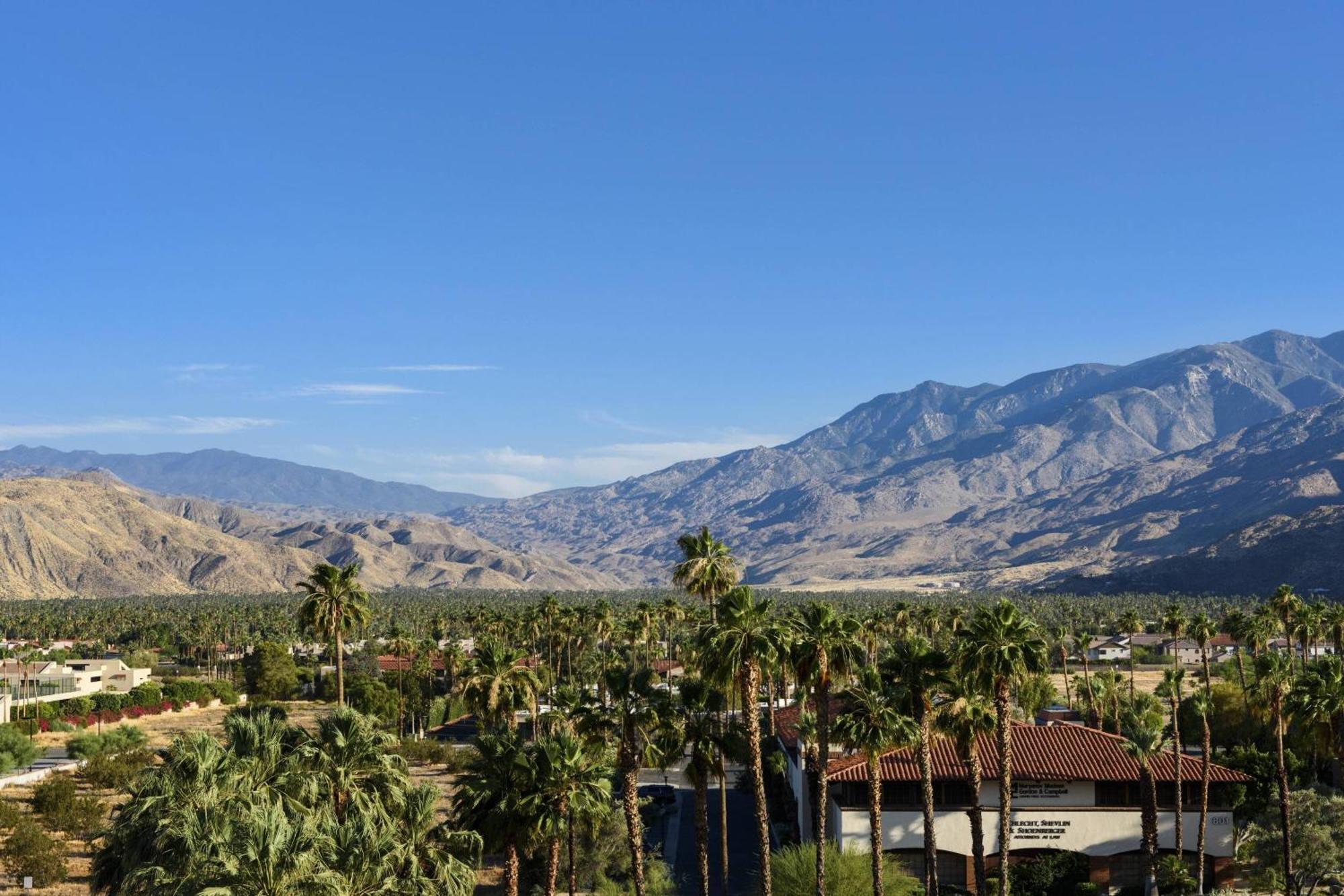 Junior King Suite Mountain View No Resort Fees