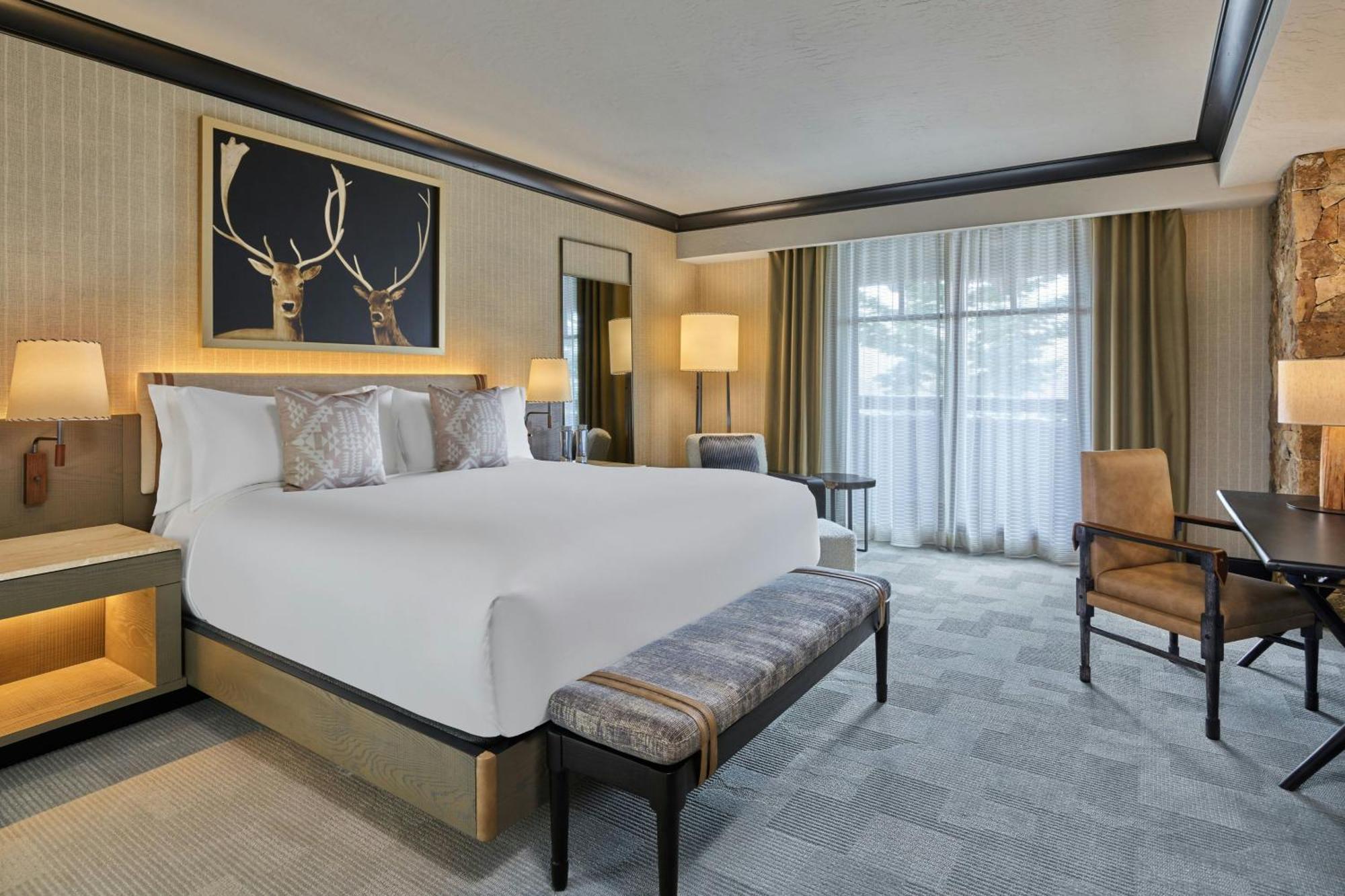 1 Bedroom Residential Suite 1 King Sofa bed