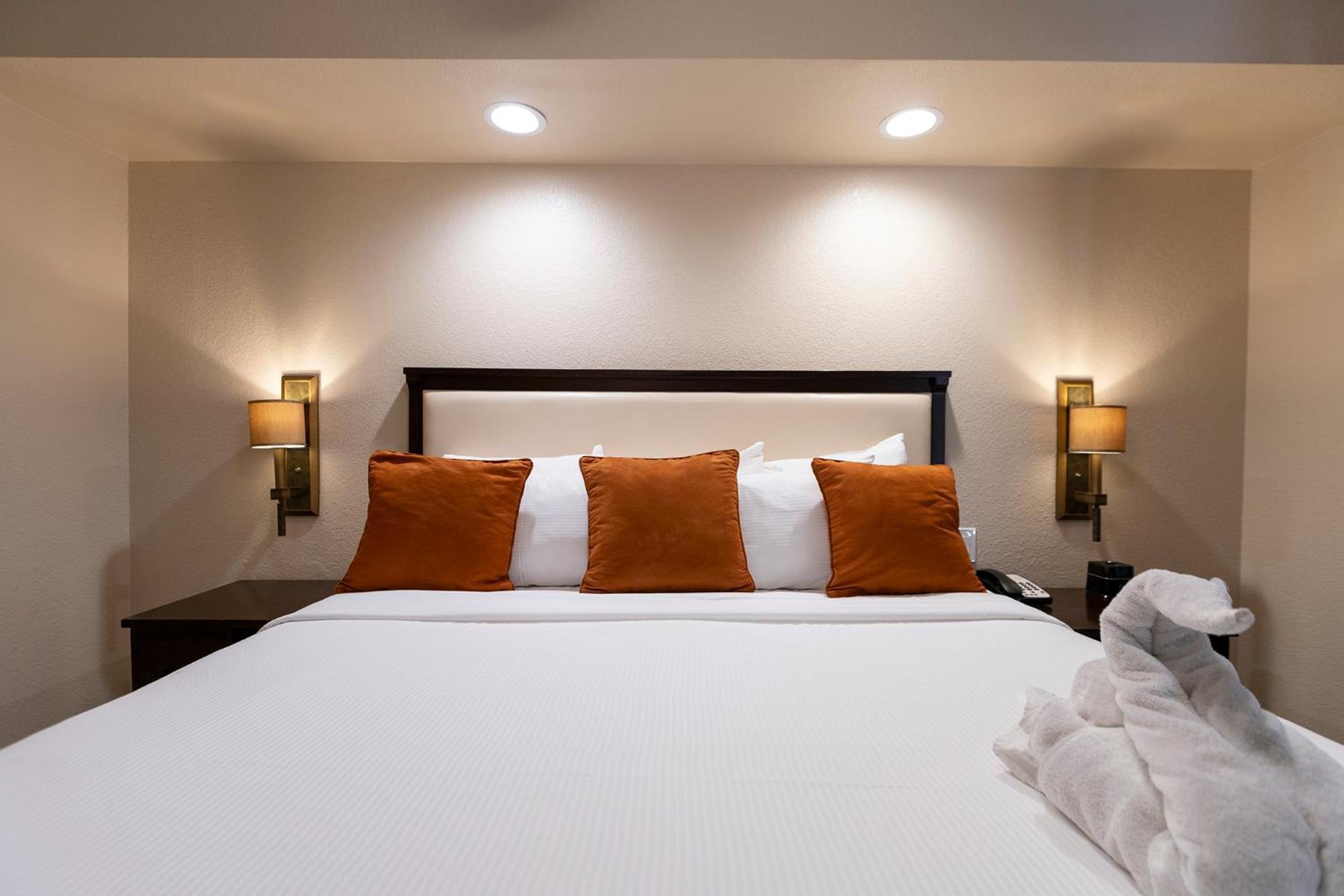 One-Bedroom Suite