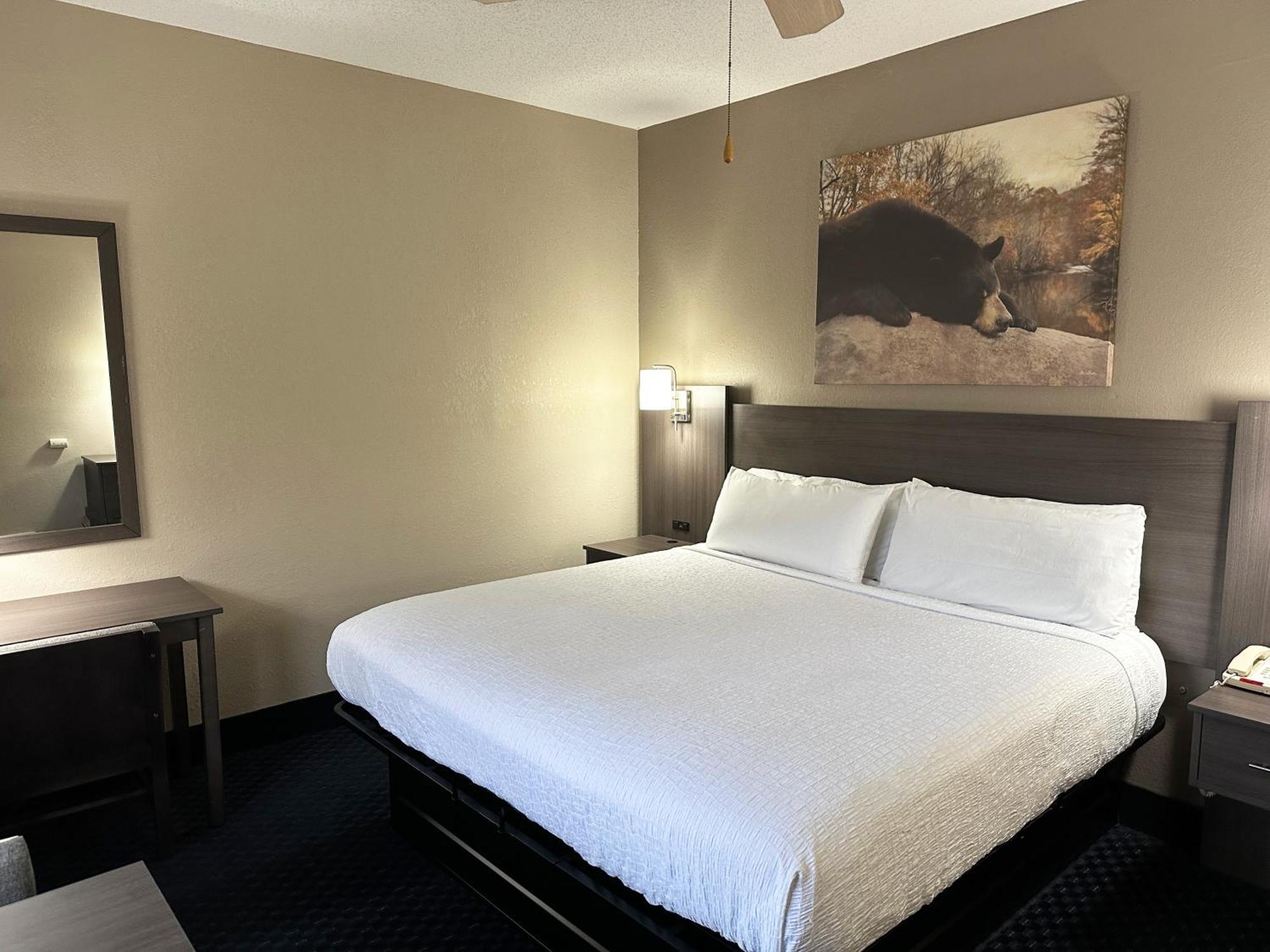 Deluxe King Room No pets