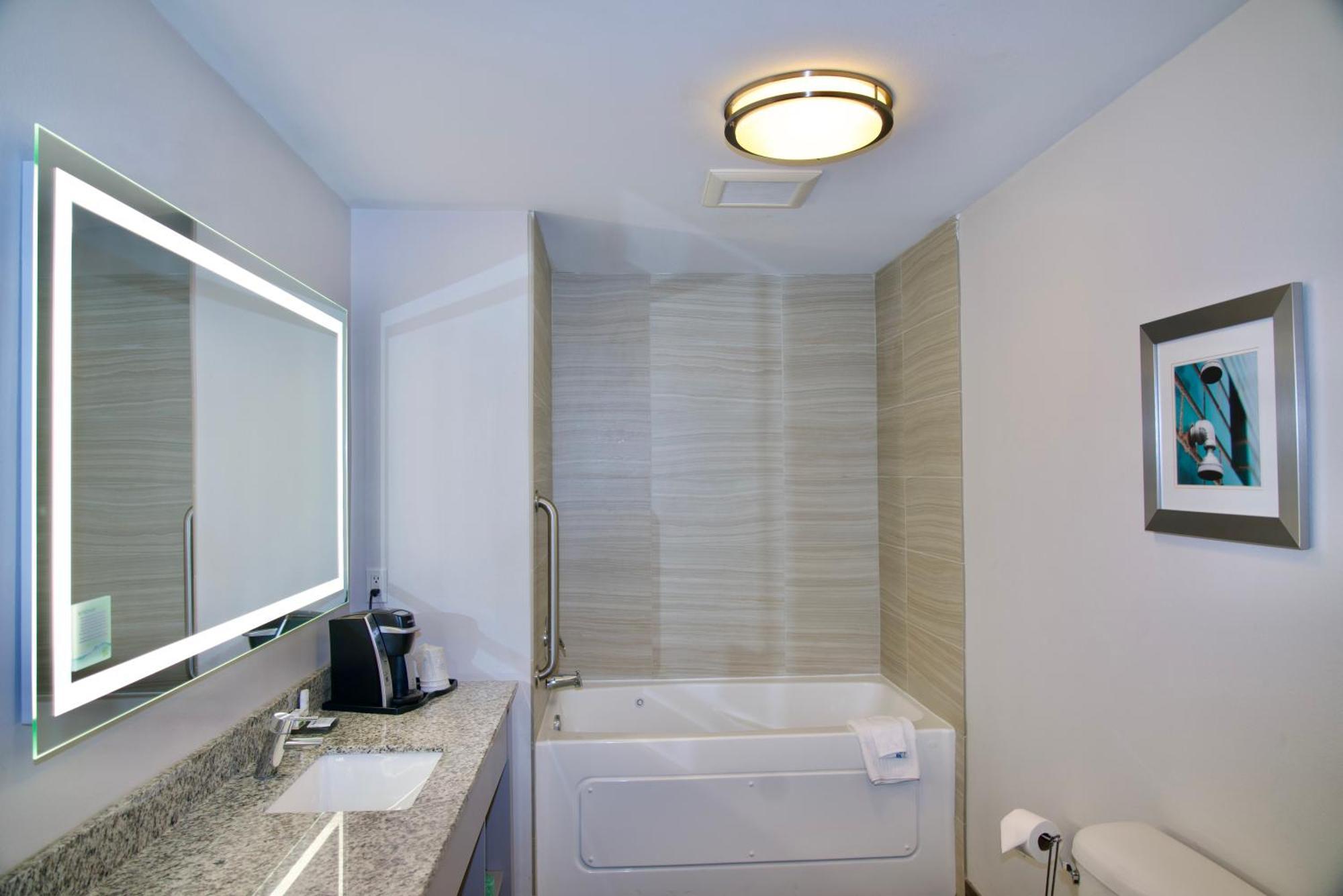Deluxe One-Bedroom King Suite Non-Smoking